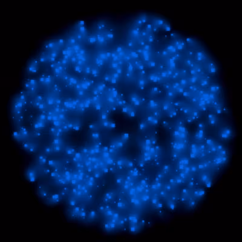 Petri Dish #13