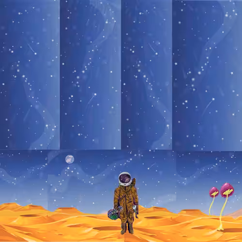Lost in Space
