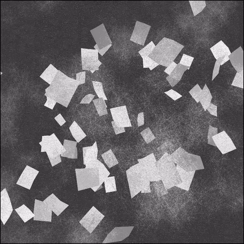 21/29.7 #64