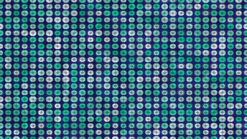 Polka #137