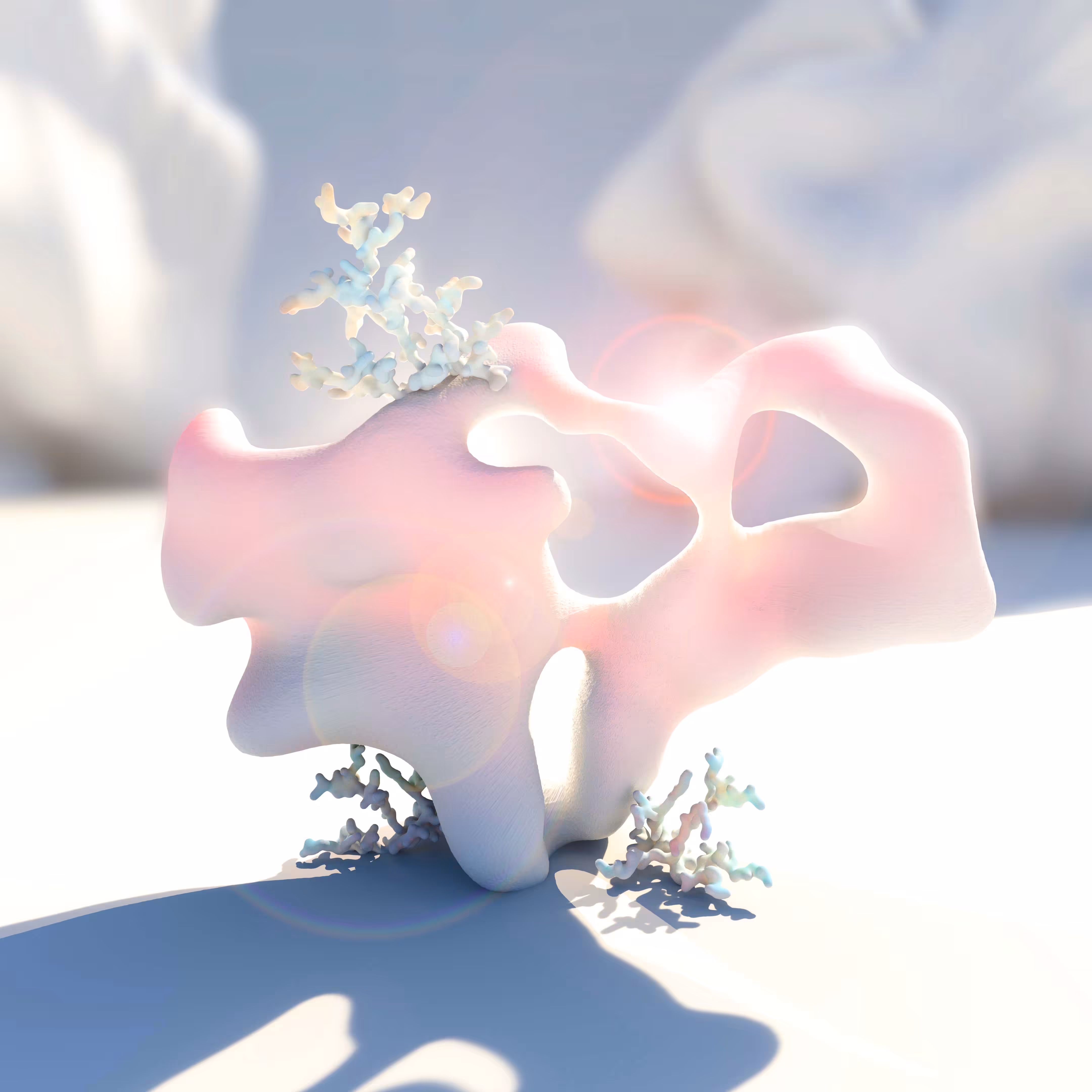 Coral Serenity