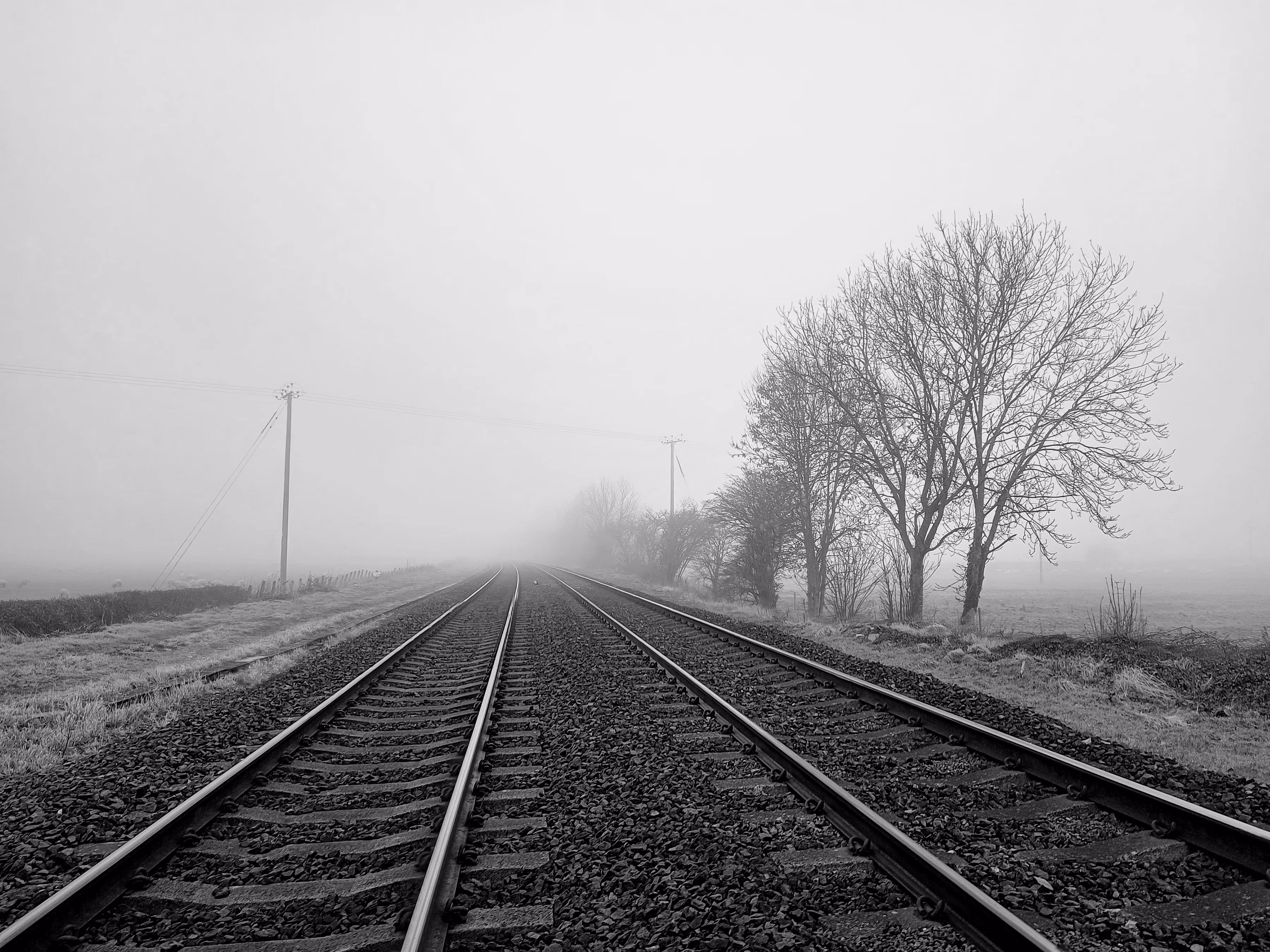 #5: On the right track?