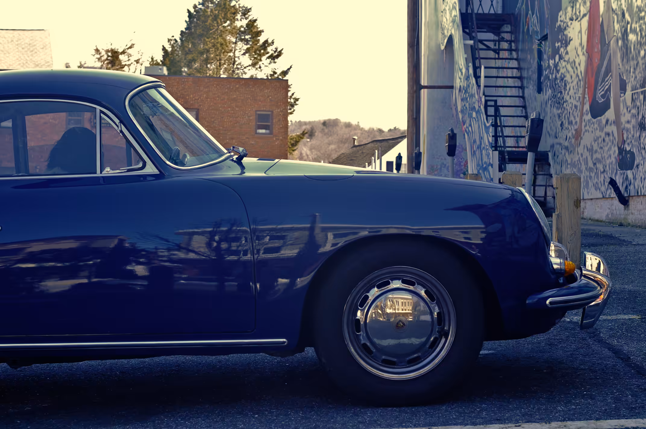 if dogs could drive blue cars