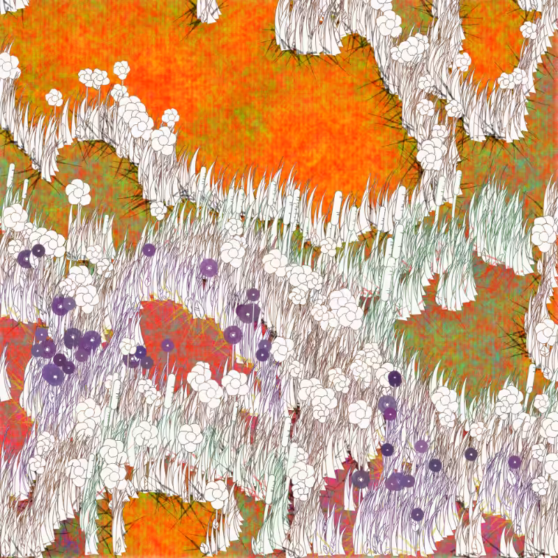 Petri 1500 #561