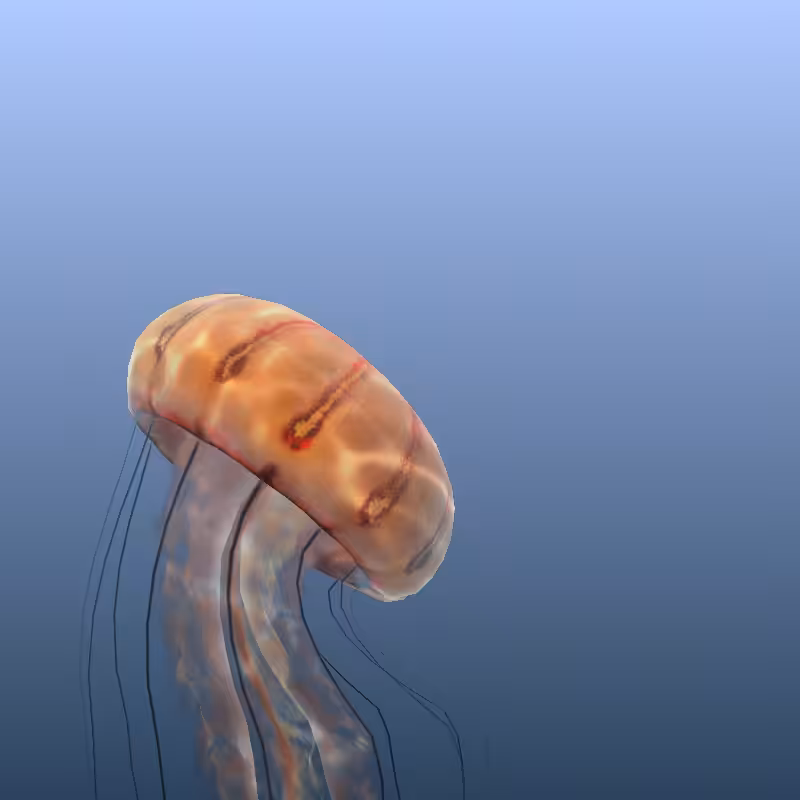Jellyfish #53
