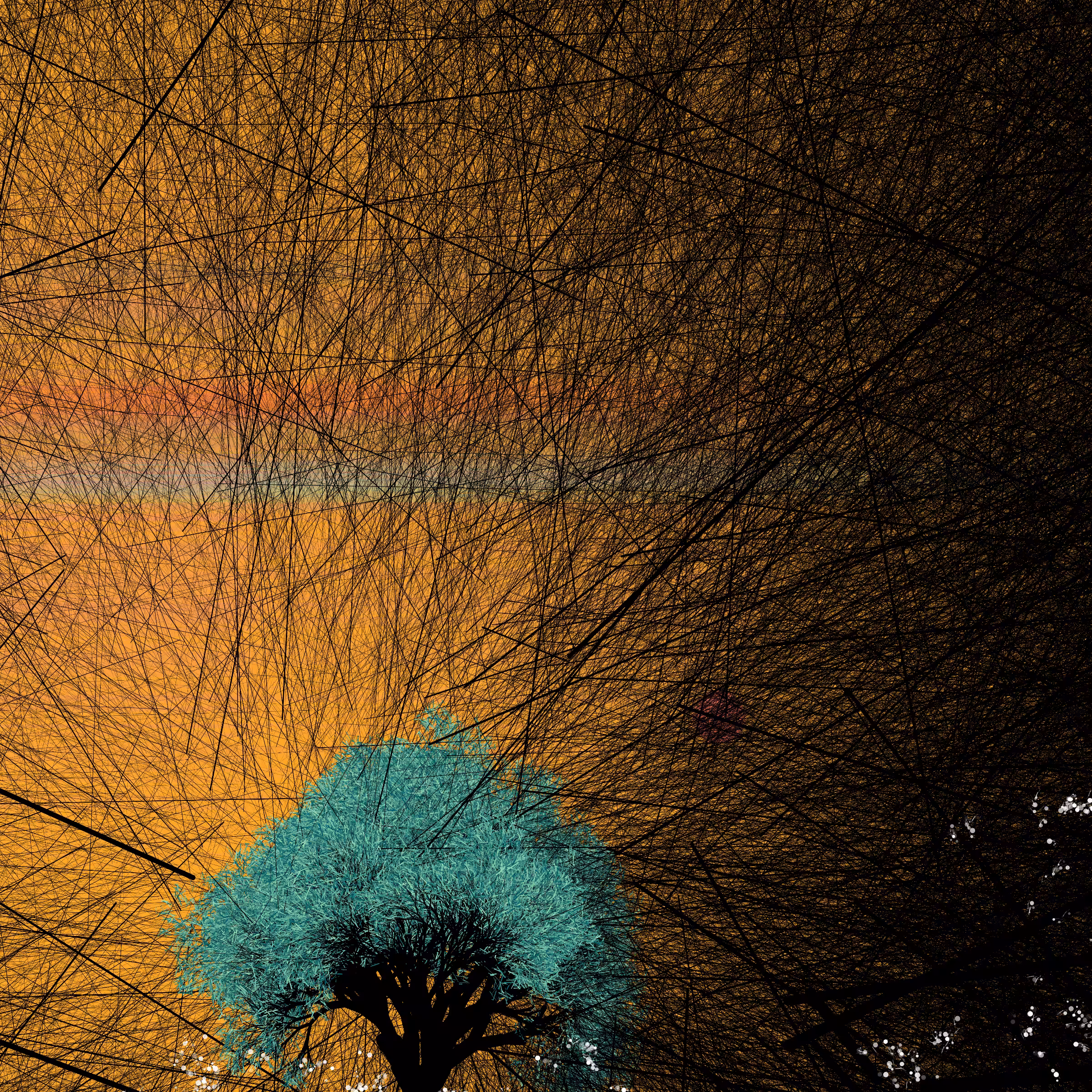 conversation with the wind #650