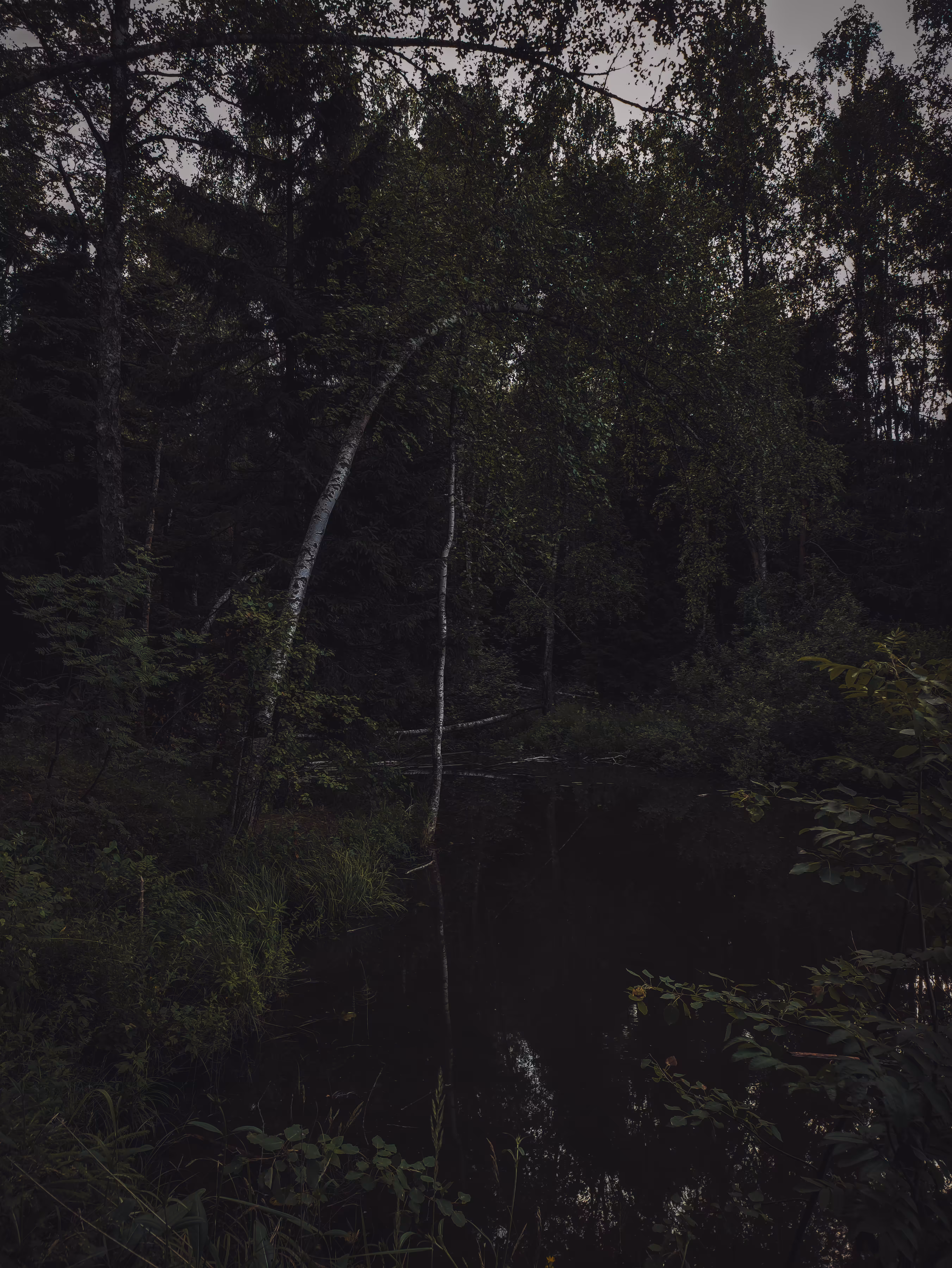Silence