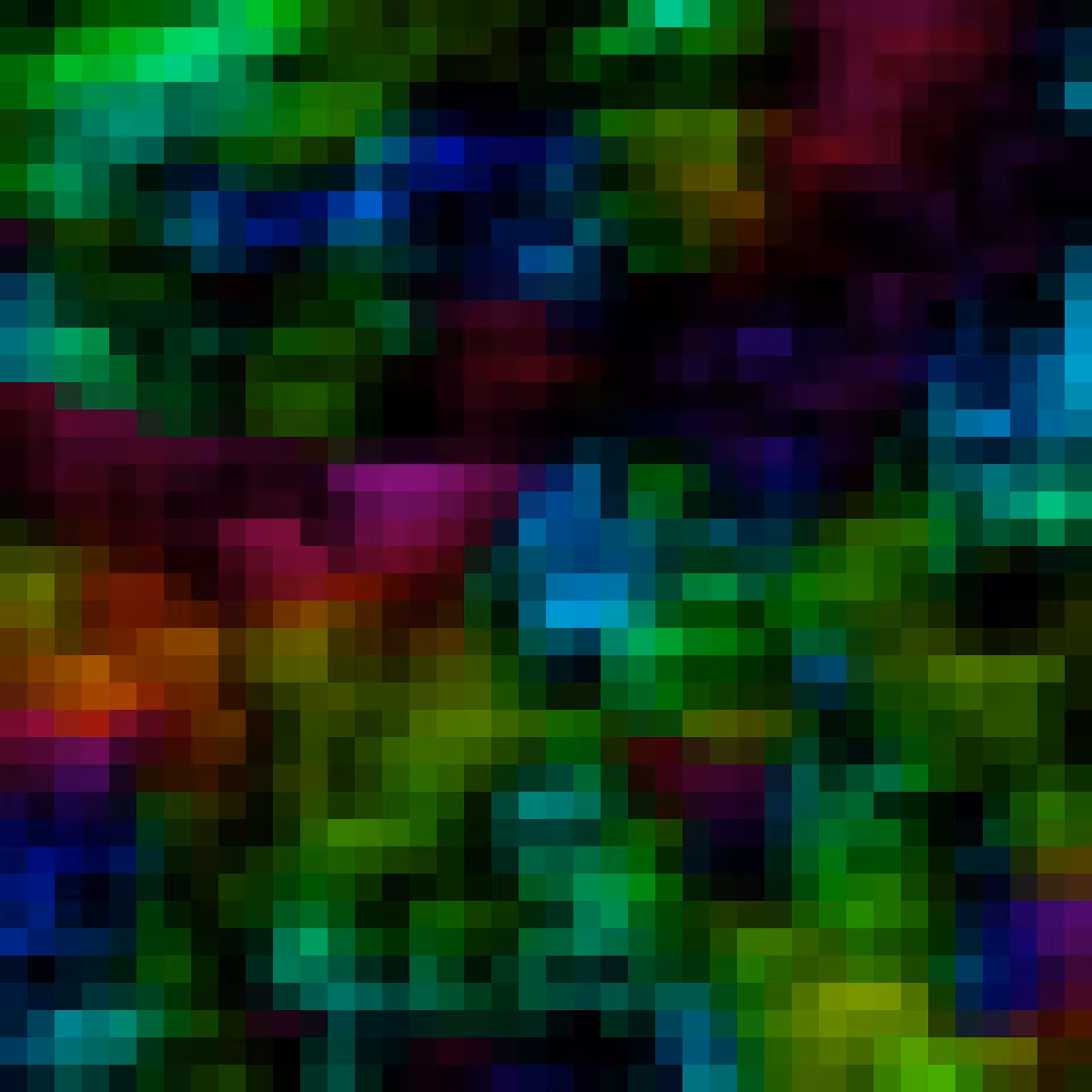 download (1).png