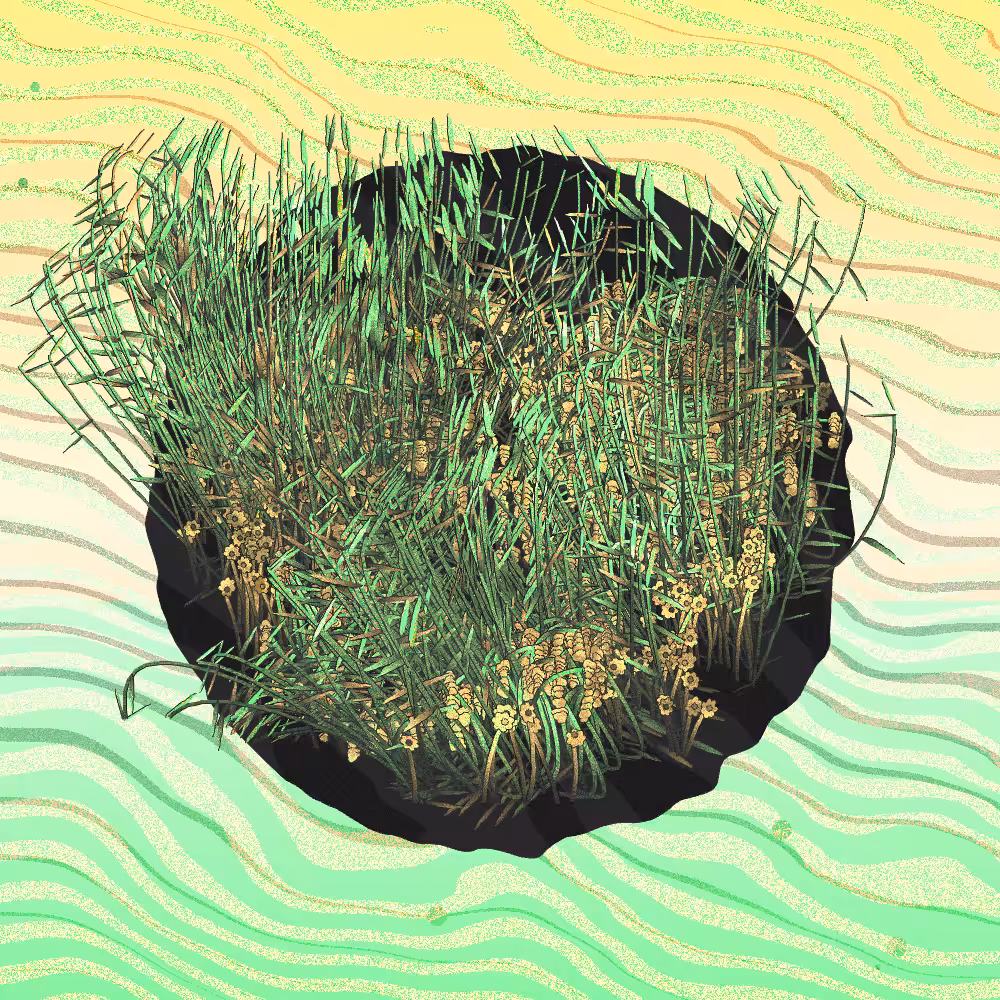 A Gift of Nature #5