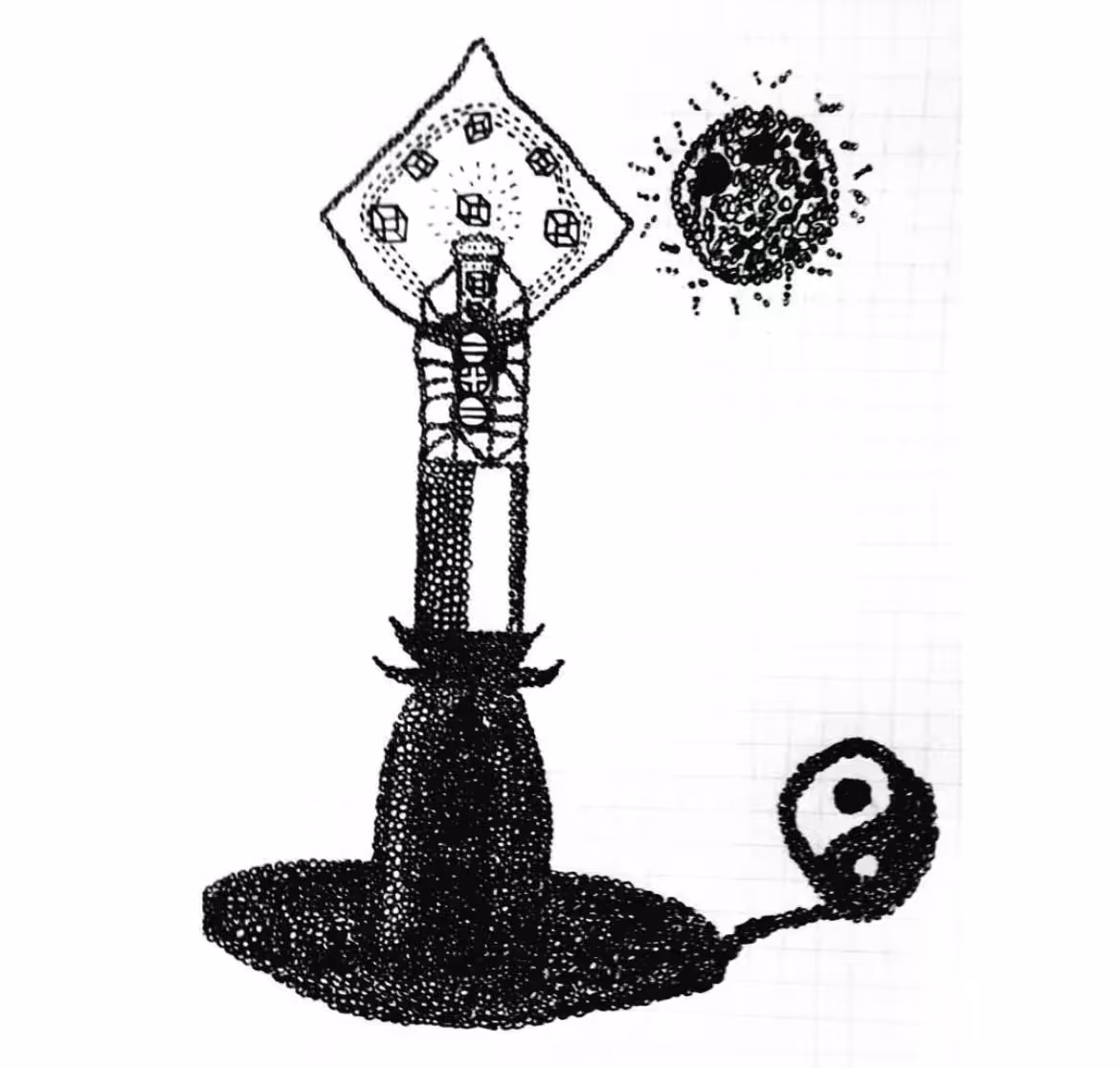 Quantum Candle light