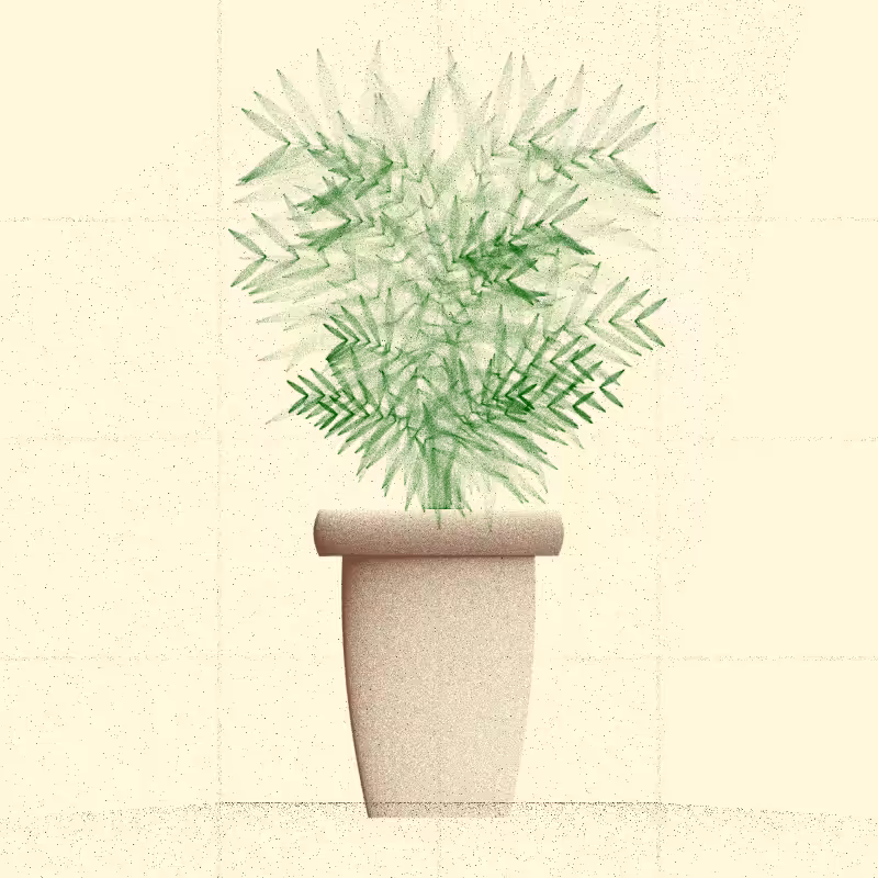 🌱 Potted & Printed #423