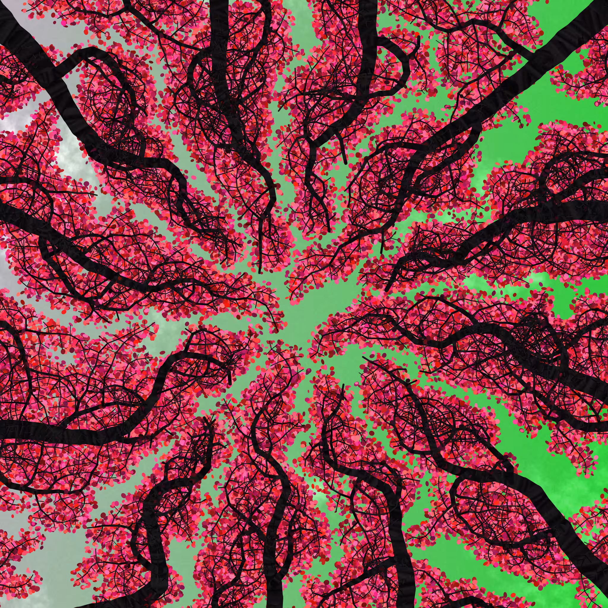 Tree Skyness #54