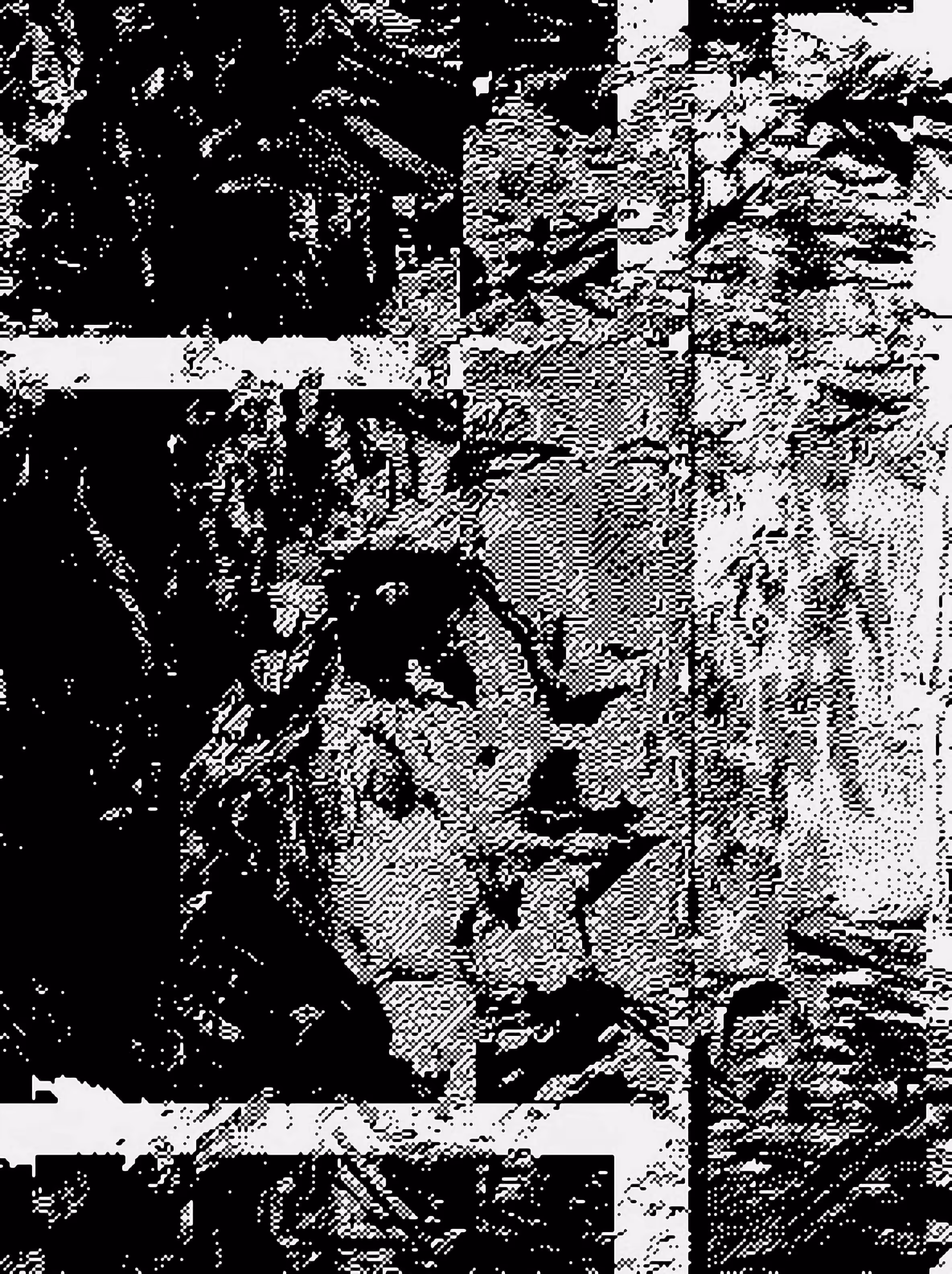 Glitching Myself: A hidden face