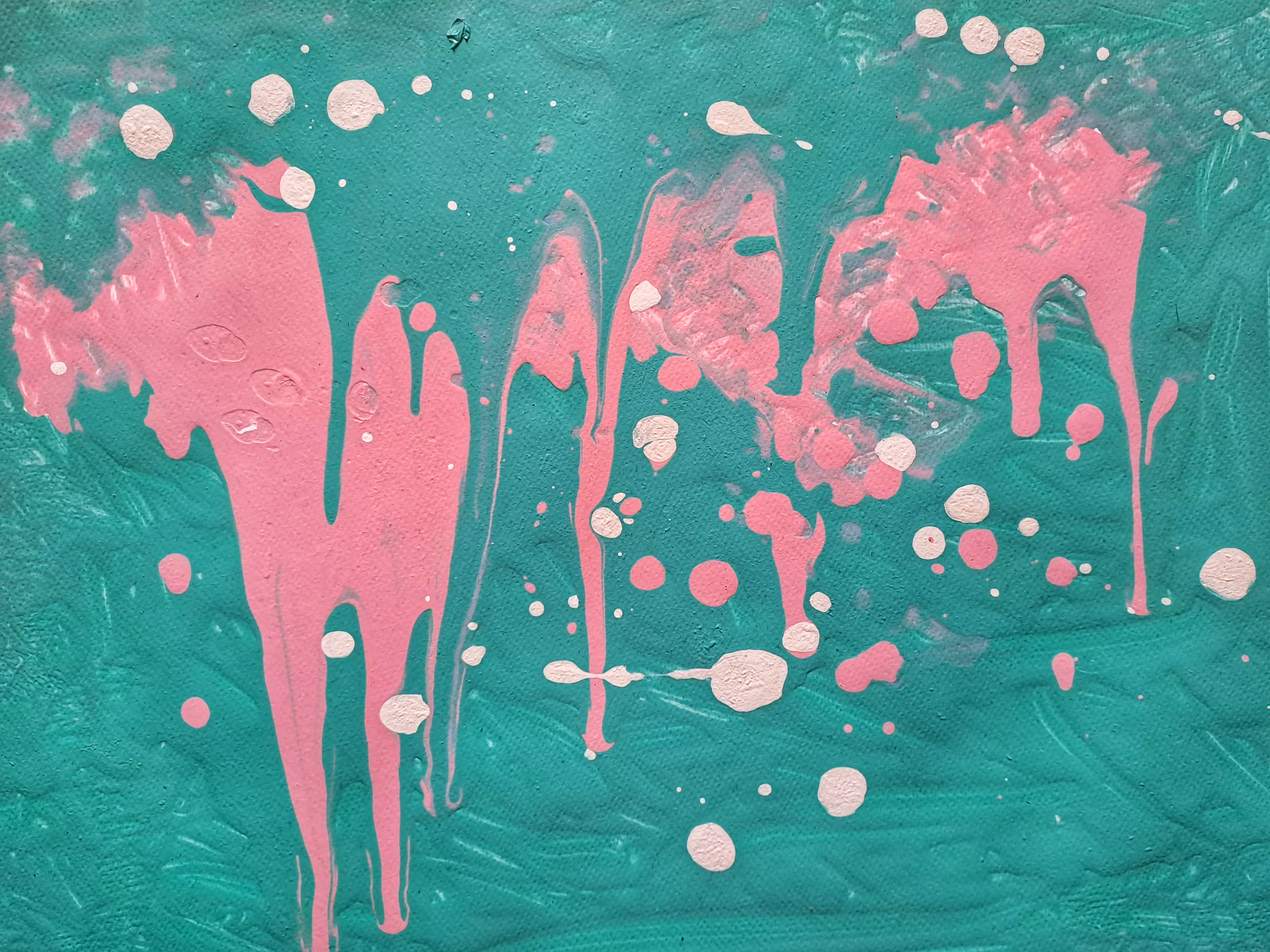 flamingos