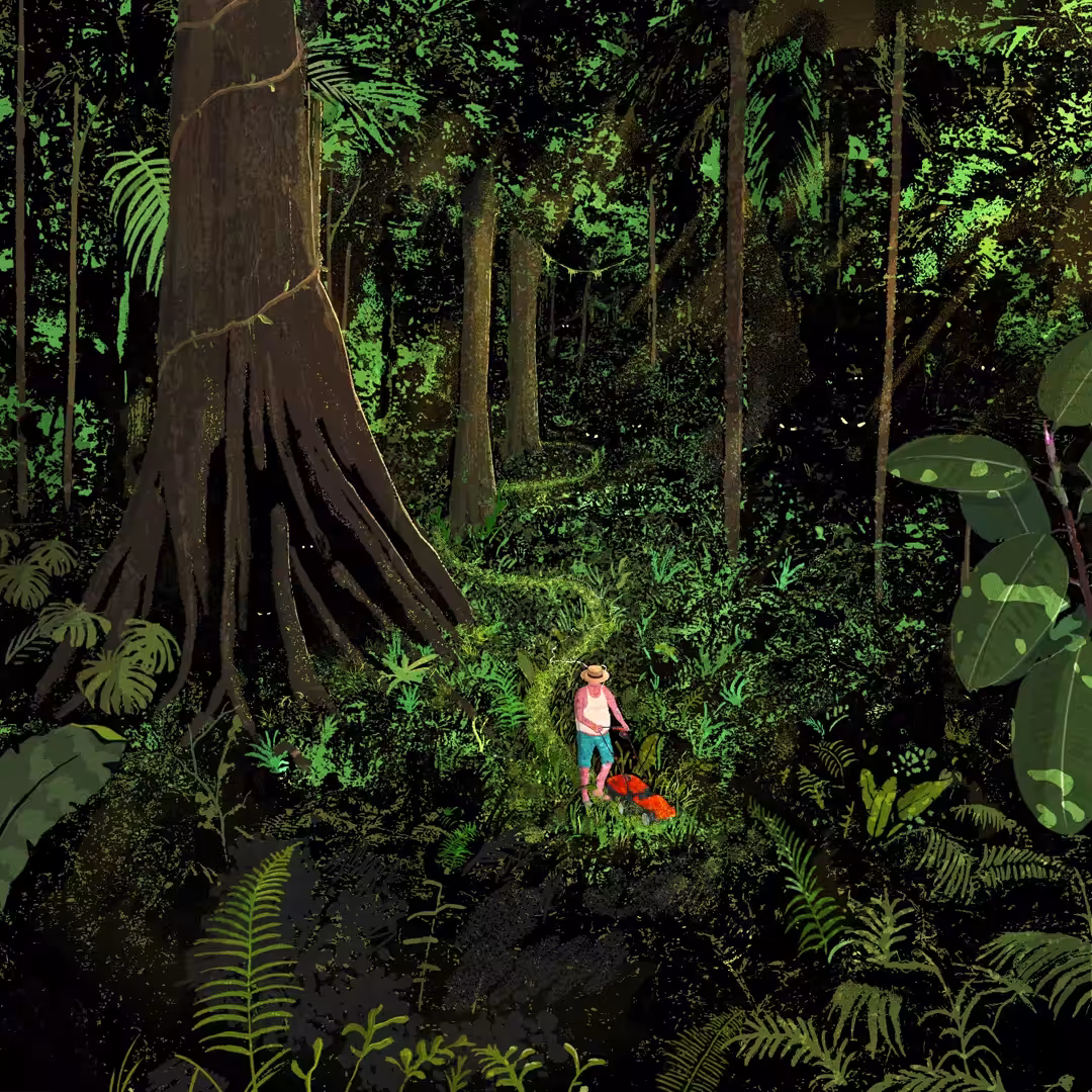 It's A Jungle Out There