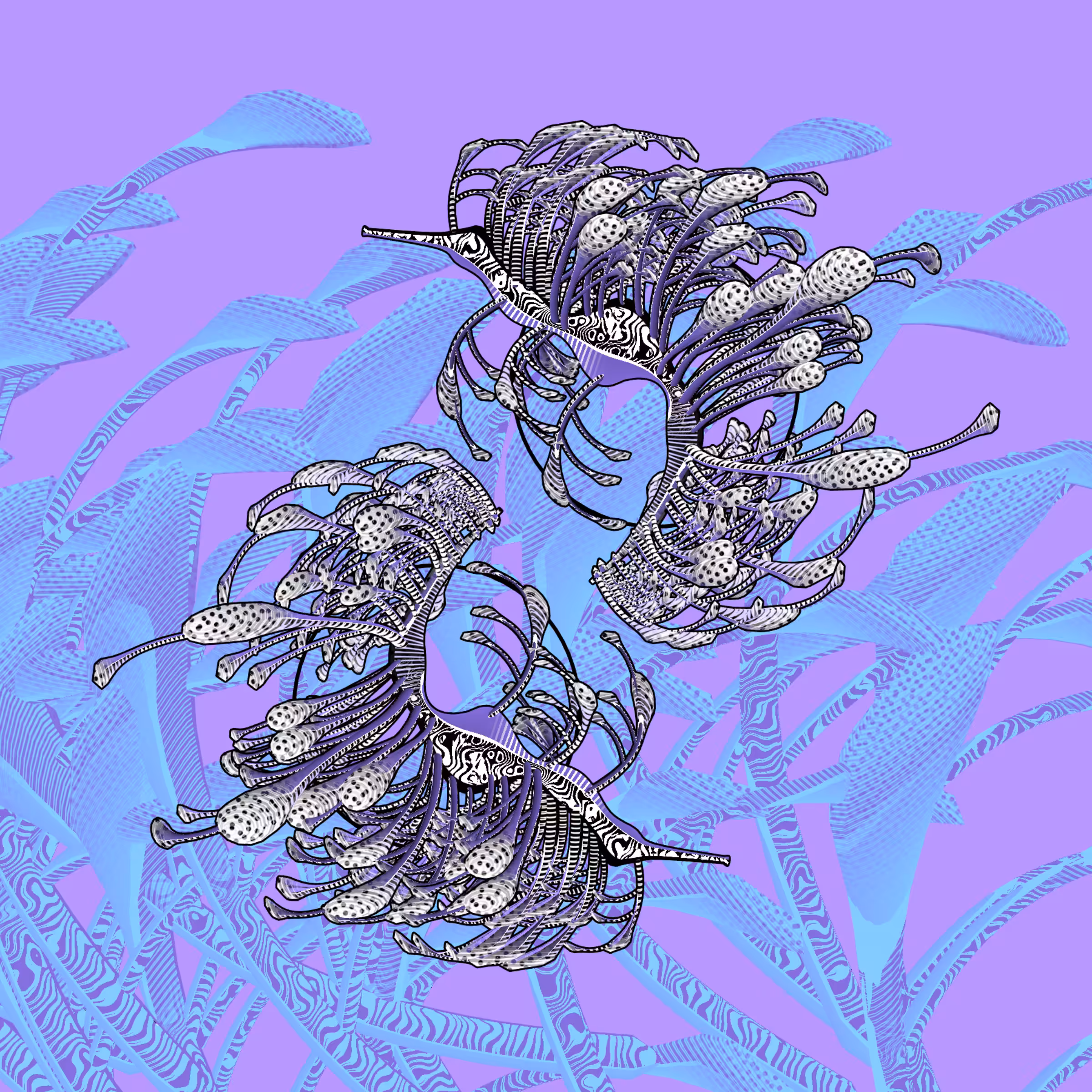 Seadragons #788