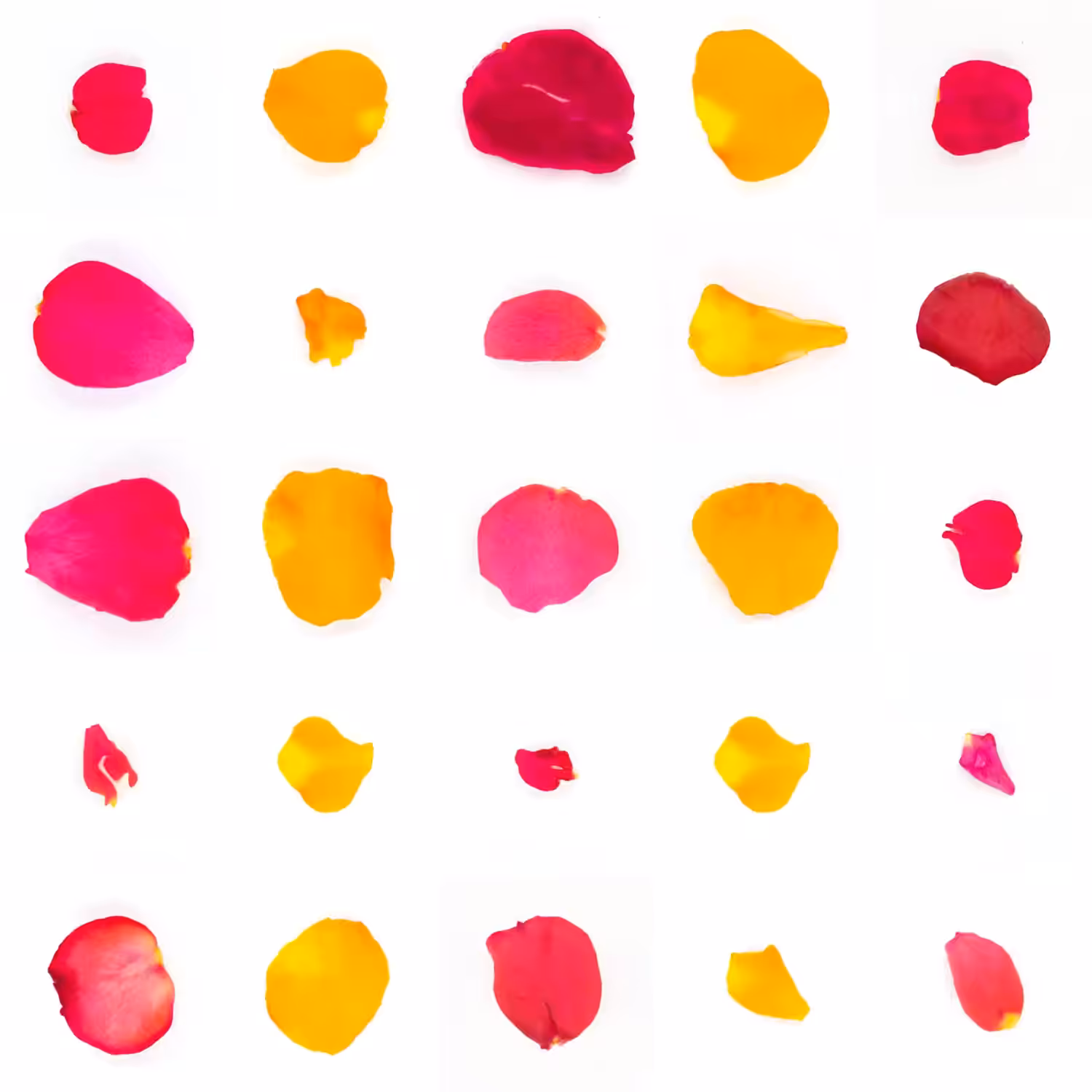 Infinite Petals 5x5#1273