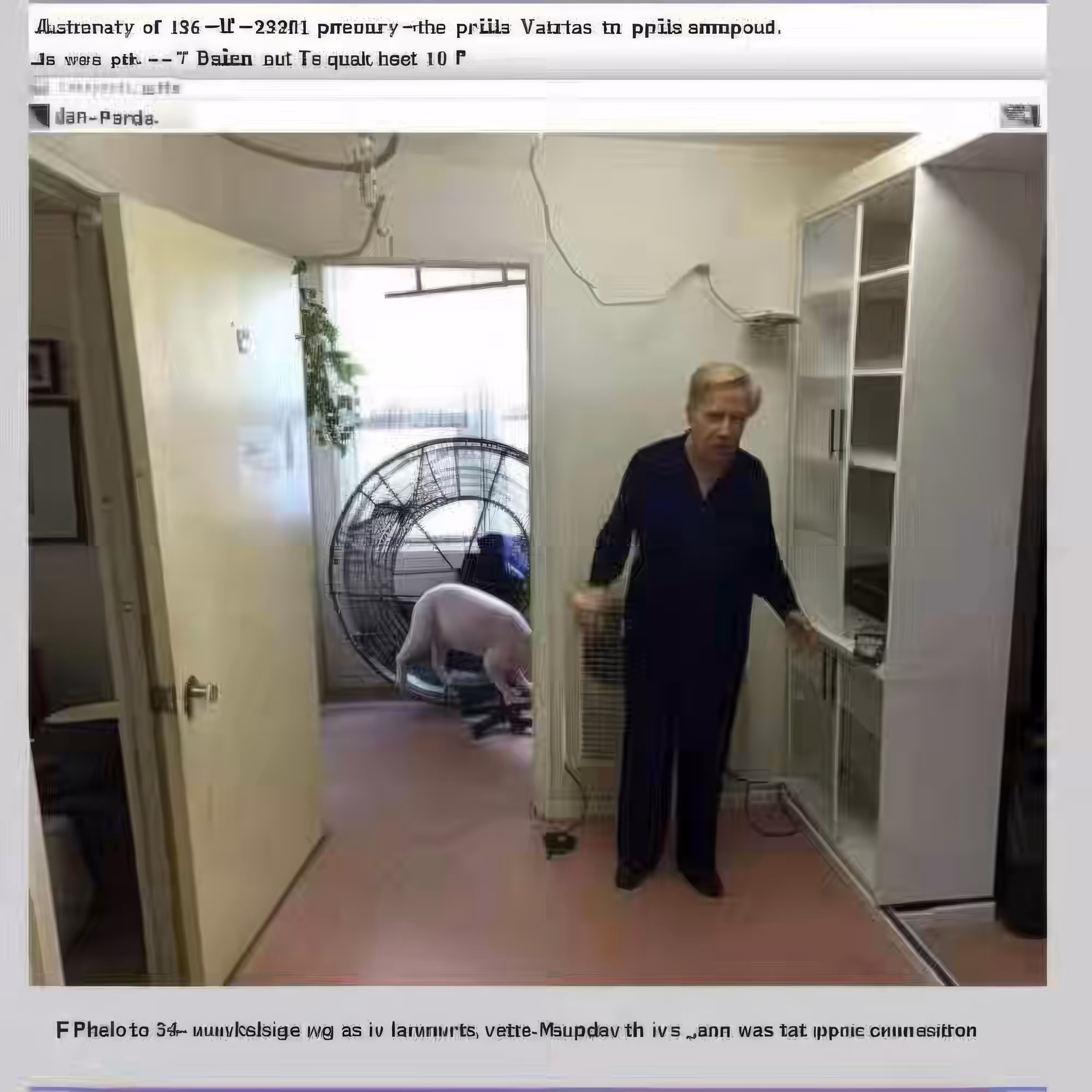 BAD JPEGs: Confused-Error-Lady