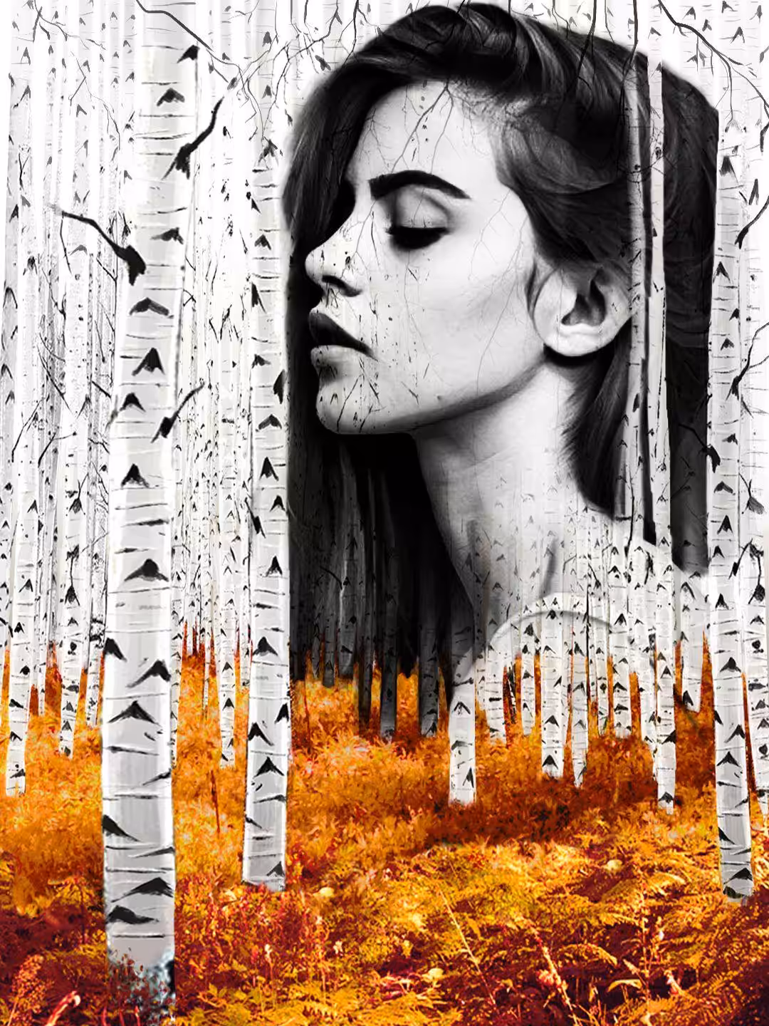 Autumn Birch