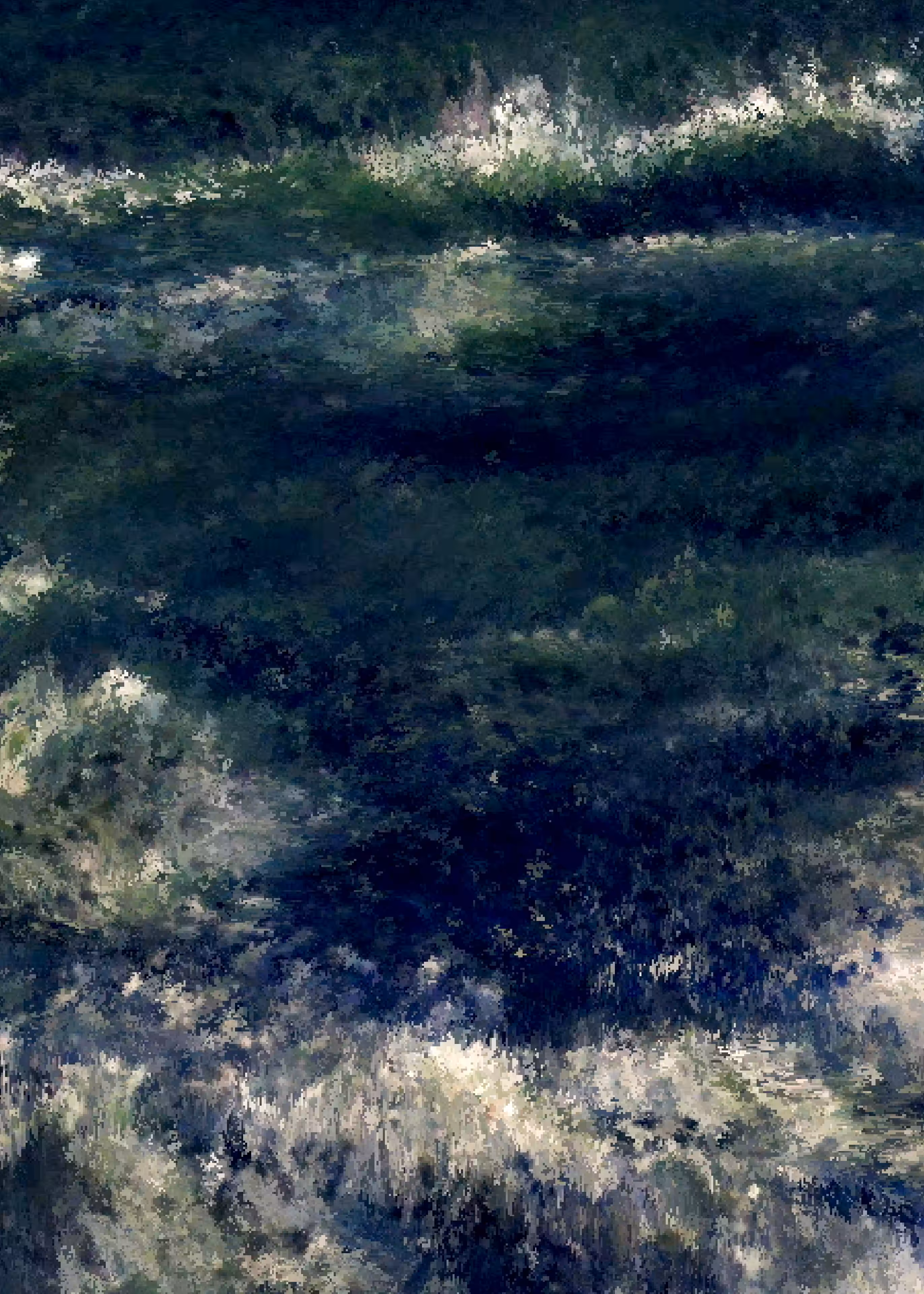 Storms XS : Storm #06__K01_01890-09