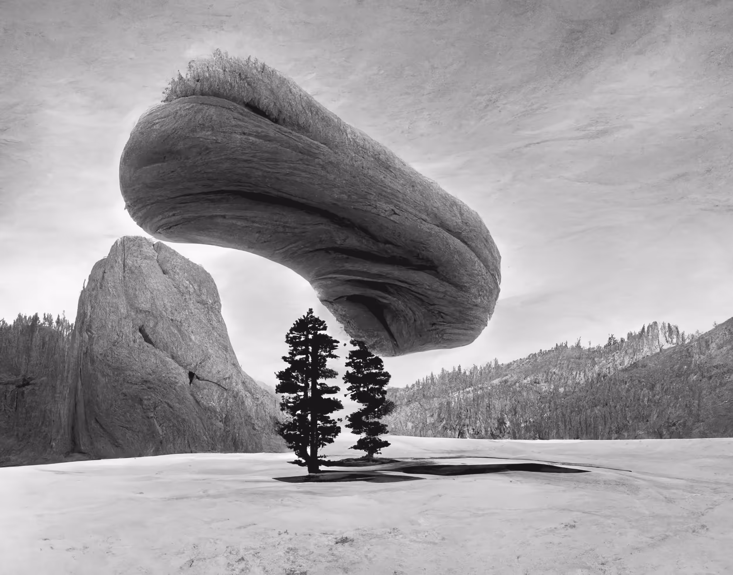 04B // Jeffrey Pine, Sentinel Dome, Yosemite National Park, California by Ansel Adams, with Speculative Formations