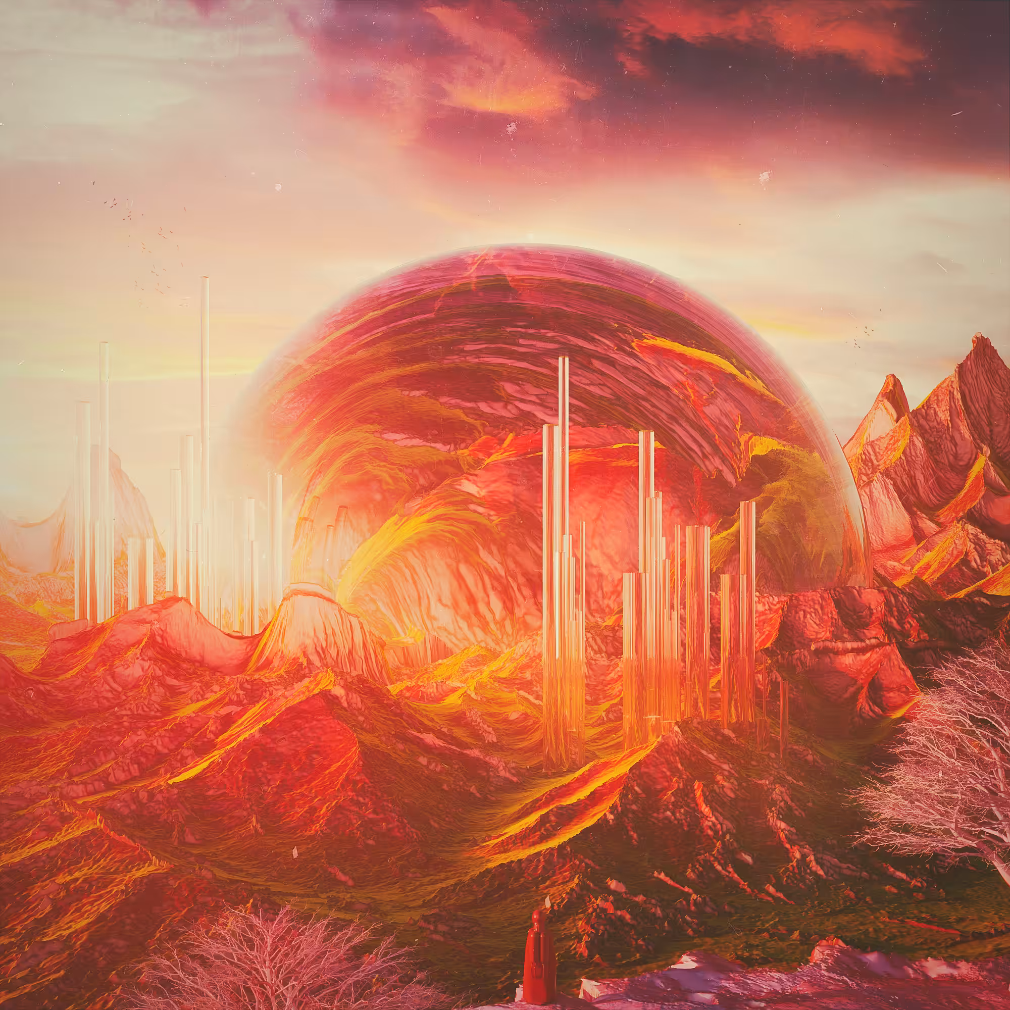 Terra1