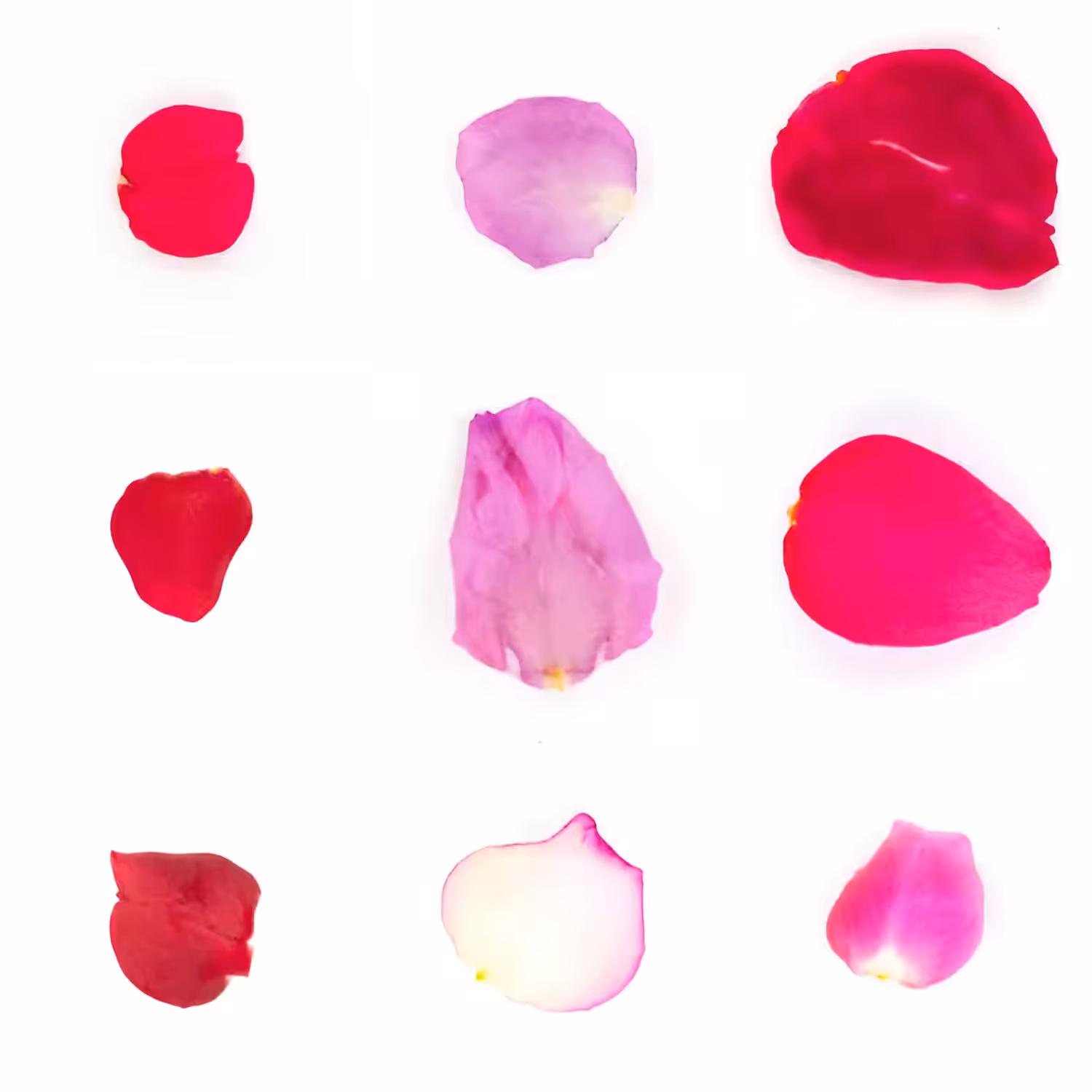 Infinite Petals 3x3#3895