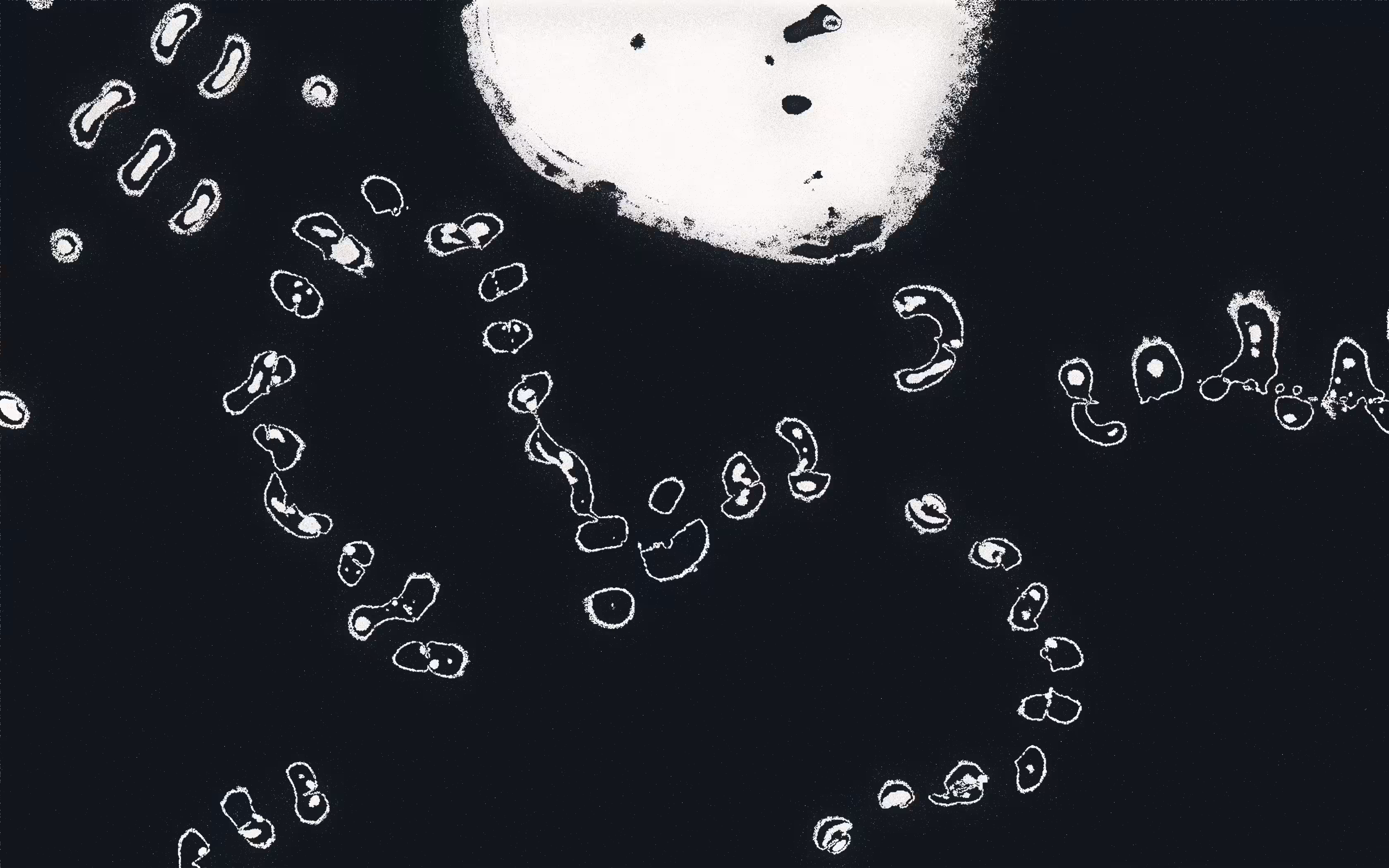 Water Studies #28