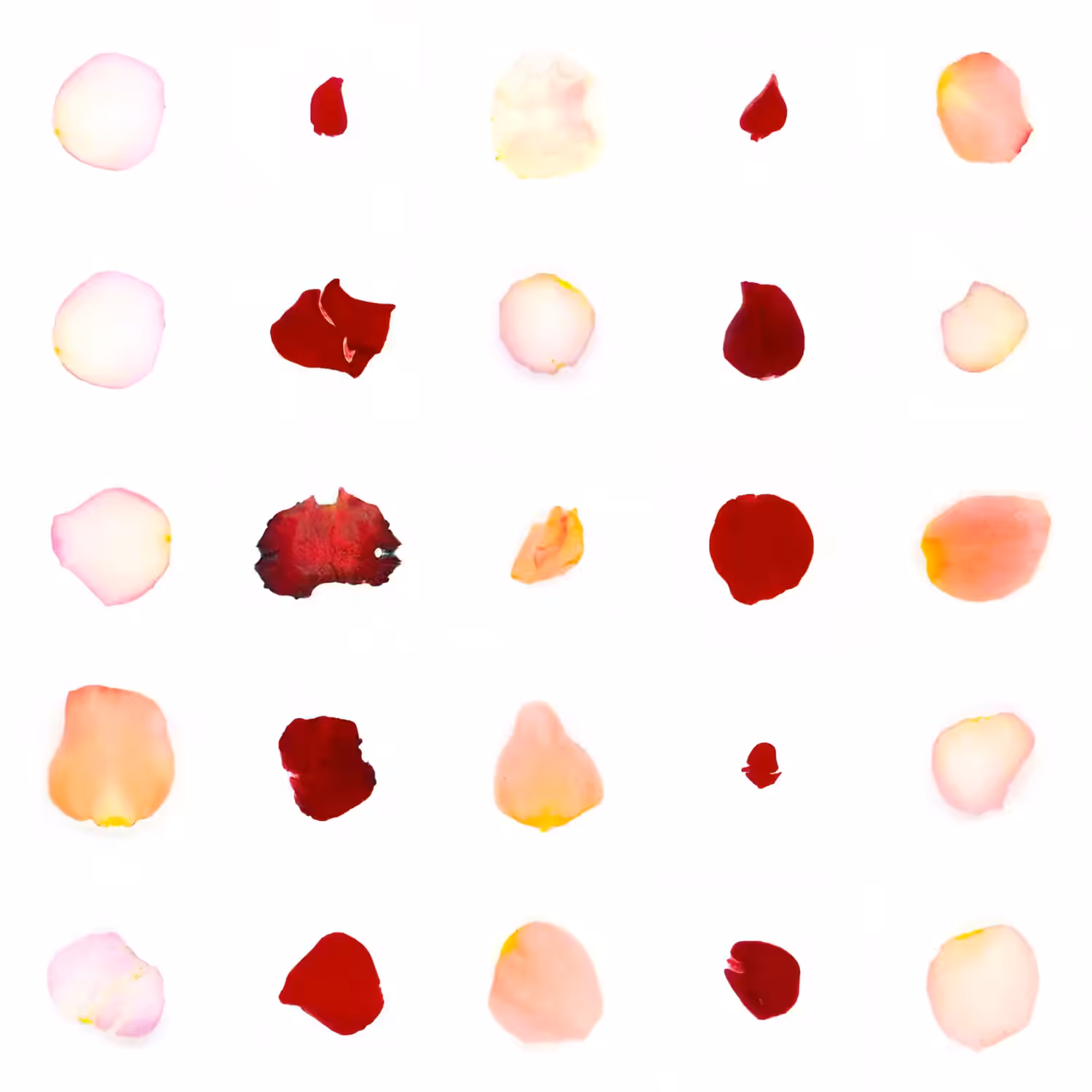 Infinite Petals 5x5#21367