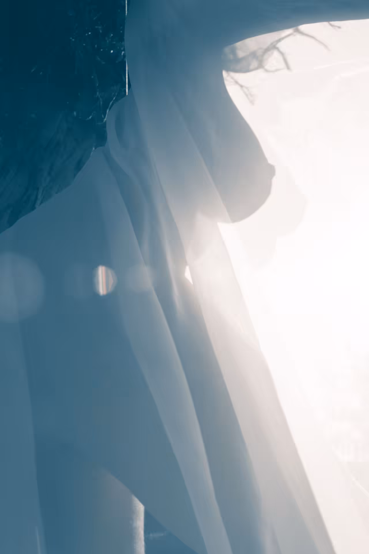 The Ghost in the Shell