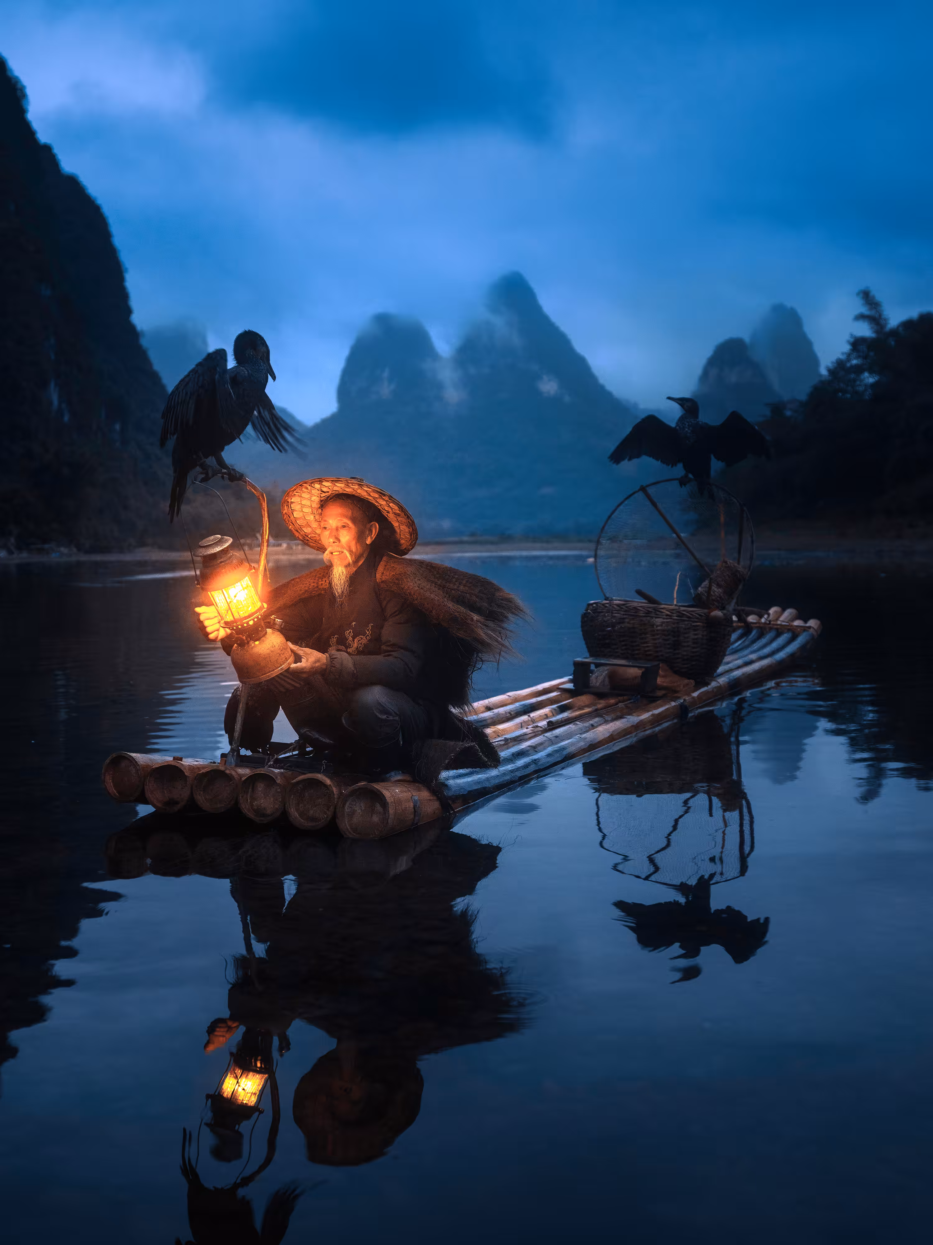 The Master and the Cormorants V