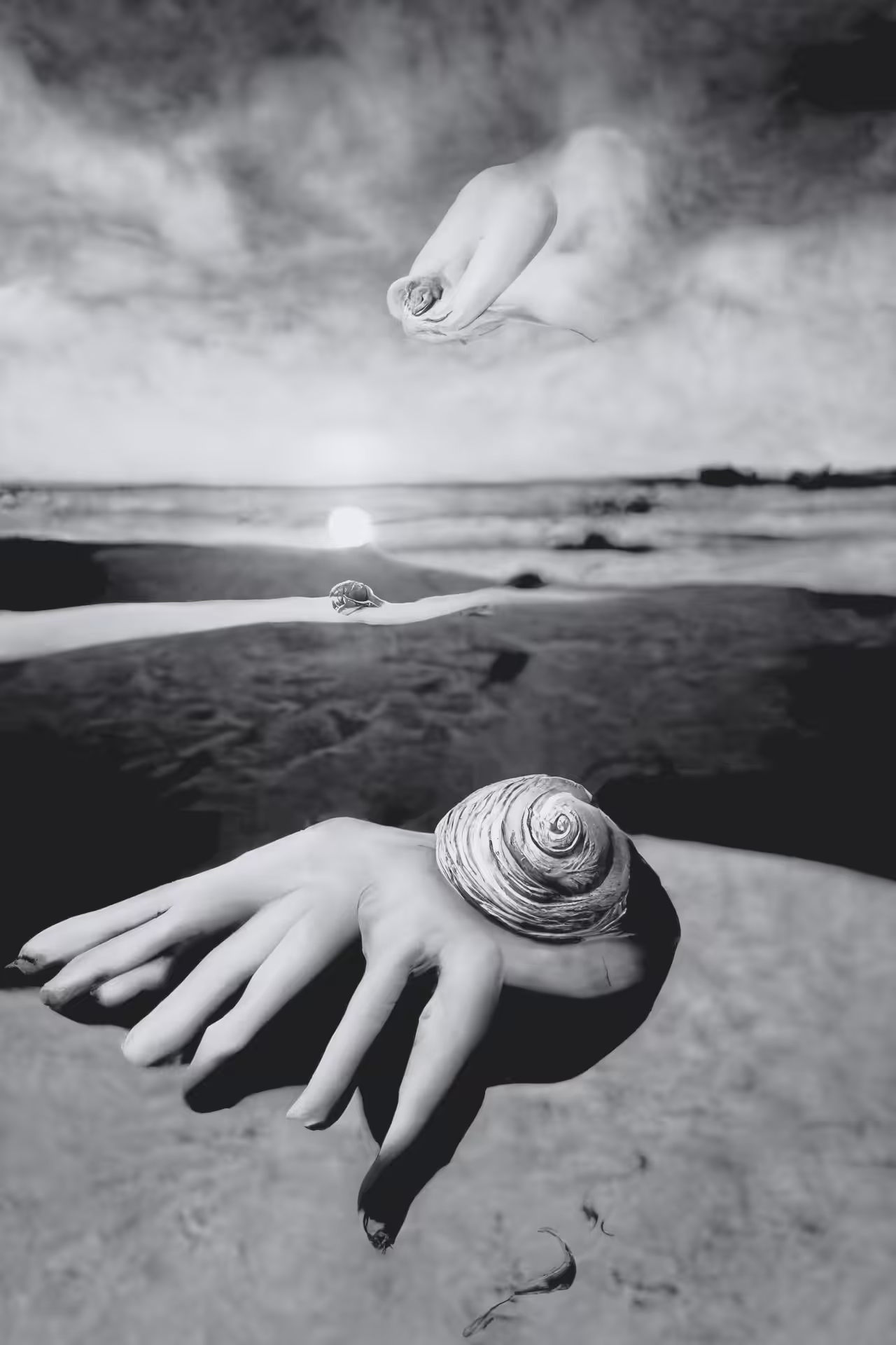 11D // Untitled (Hand-Shell) by Dora Maar, A Hyperdactylist Attempt