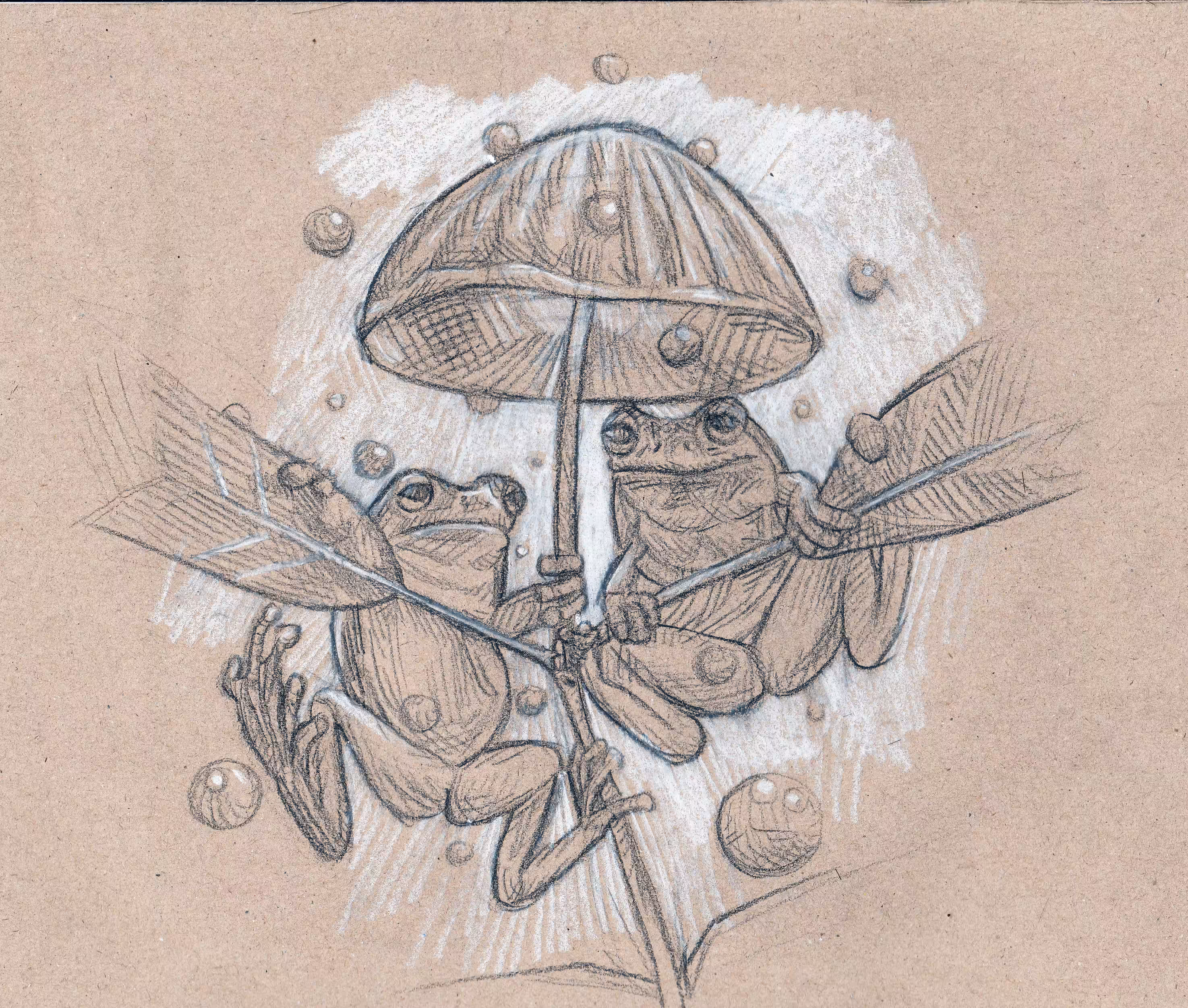 Frog boys