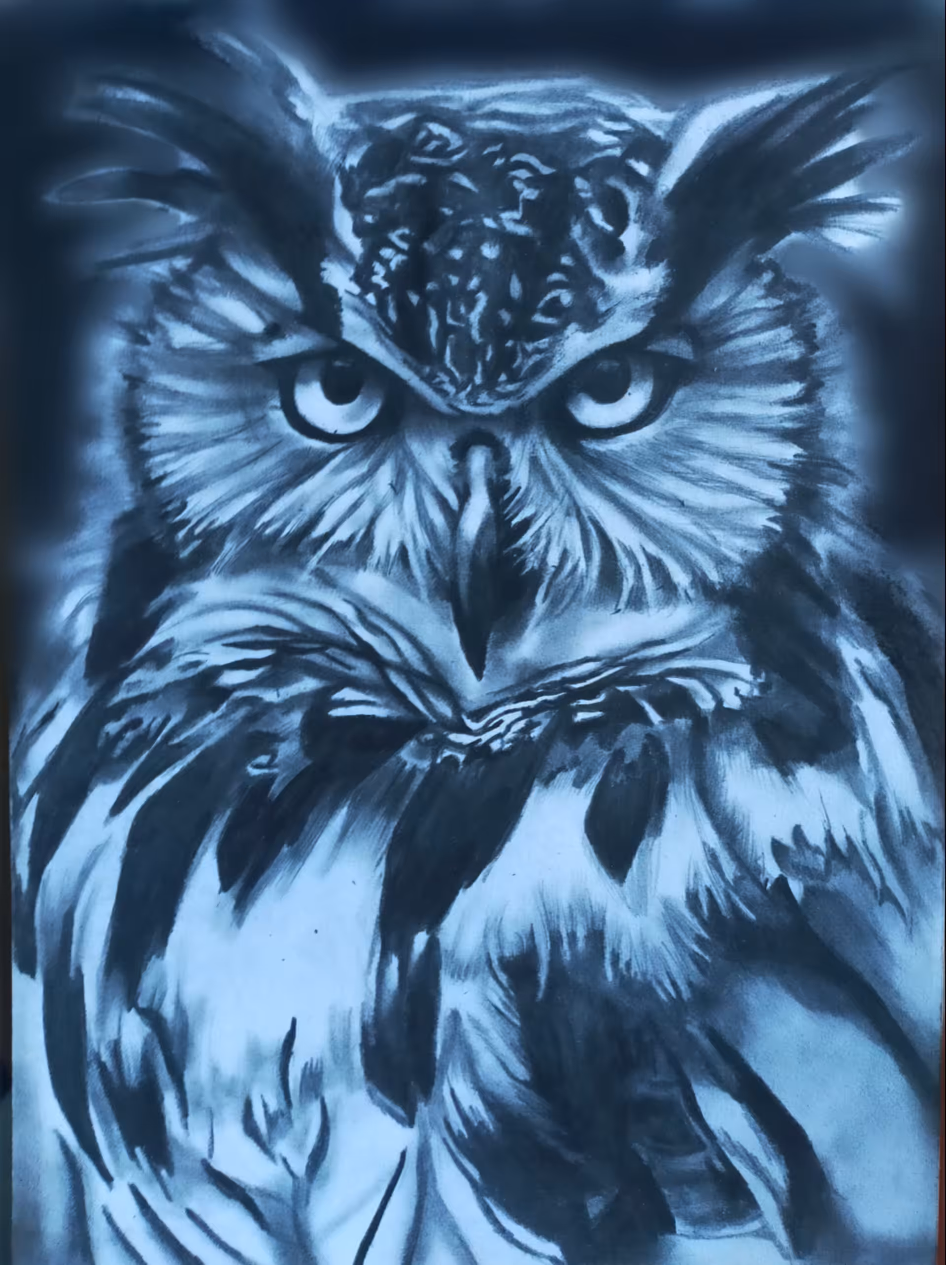Wise Owl