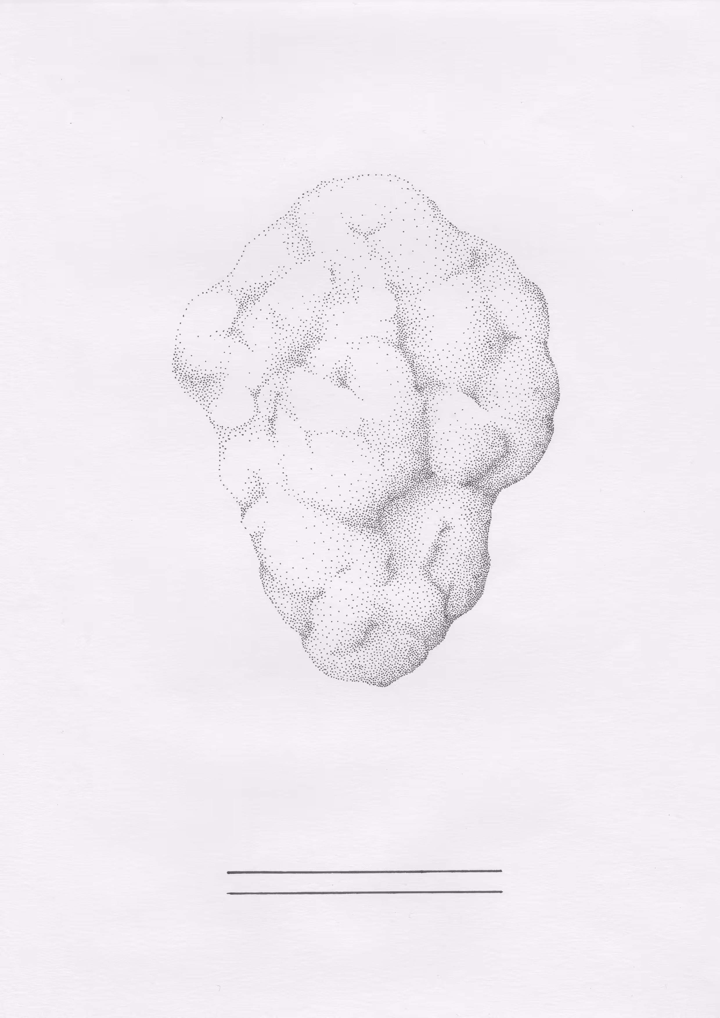 BUMPS & LINES 001