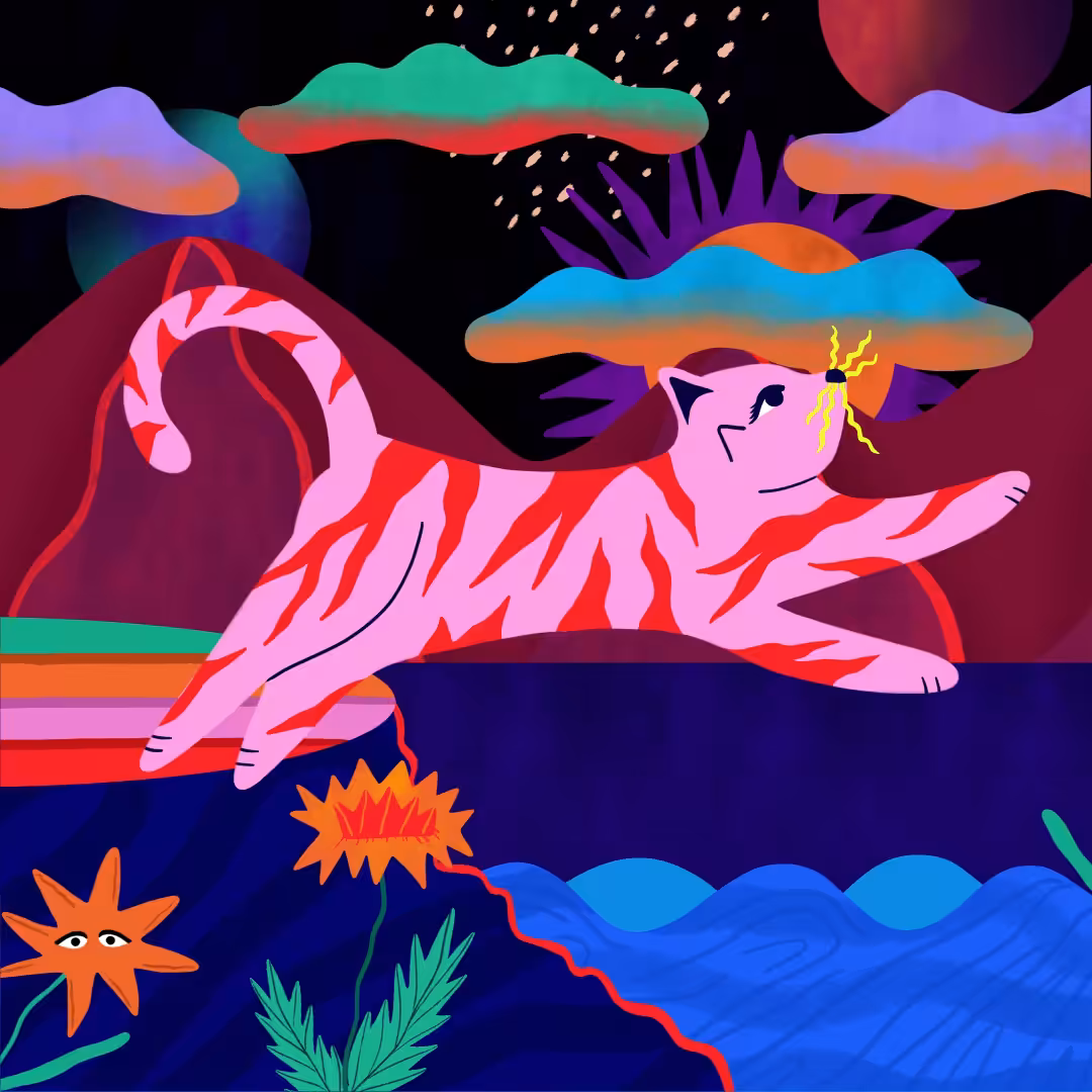 Lucid Cat