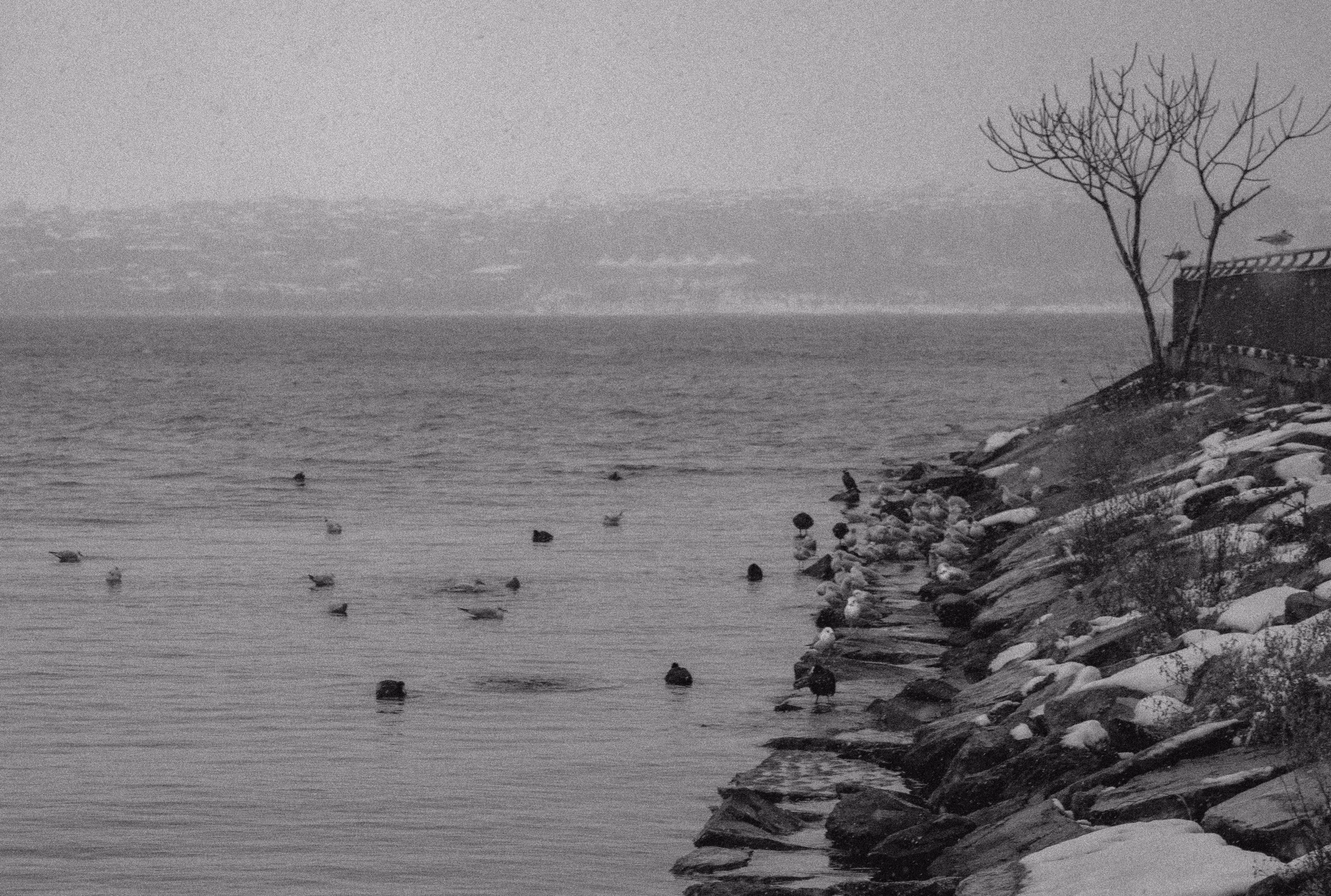 Melancholy Sea