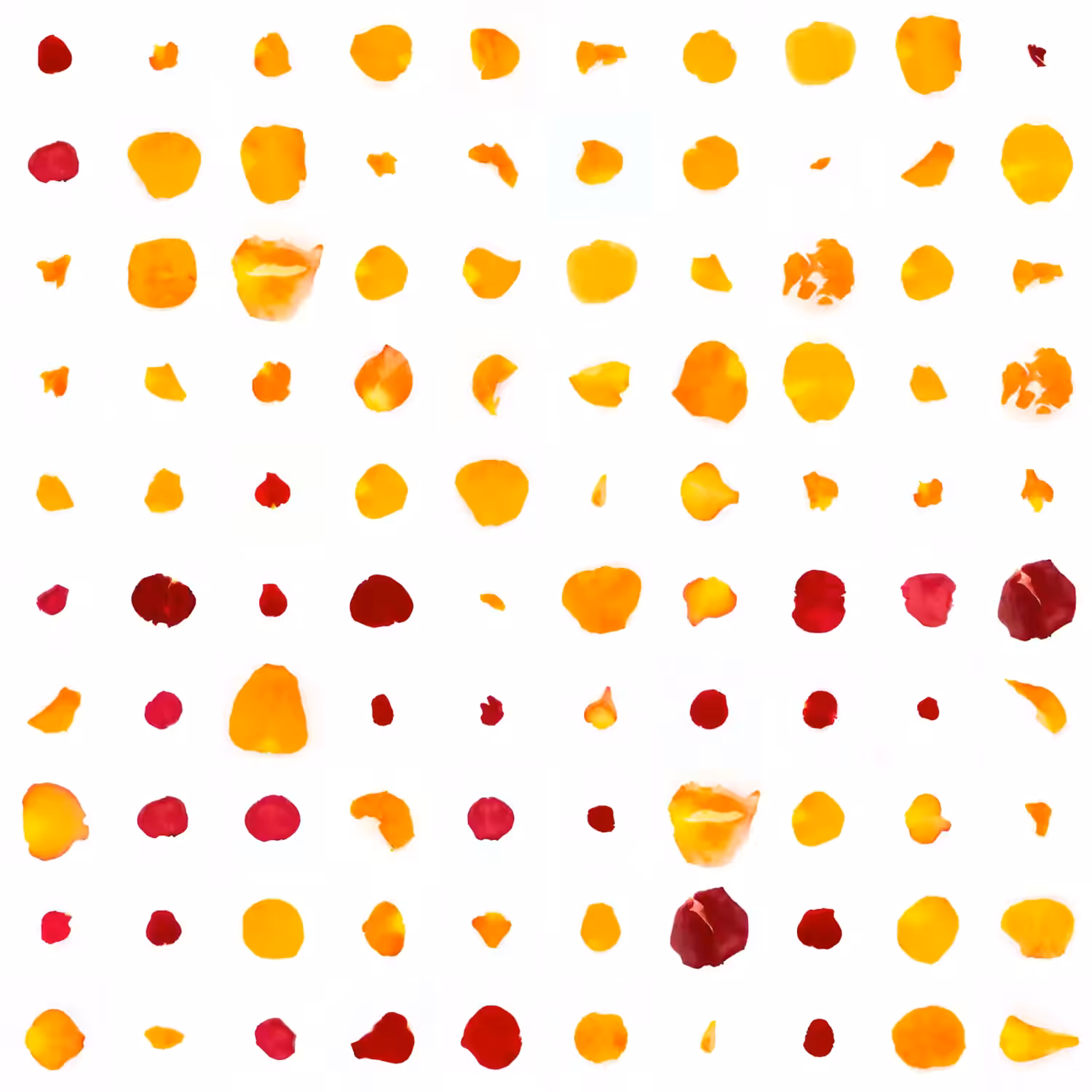 Infinite Petals 10x10#648