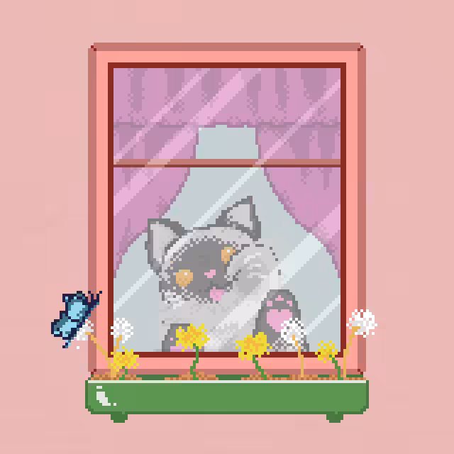 Window Catz #16