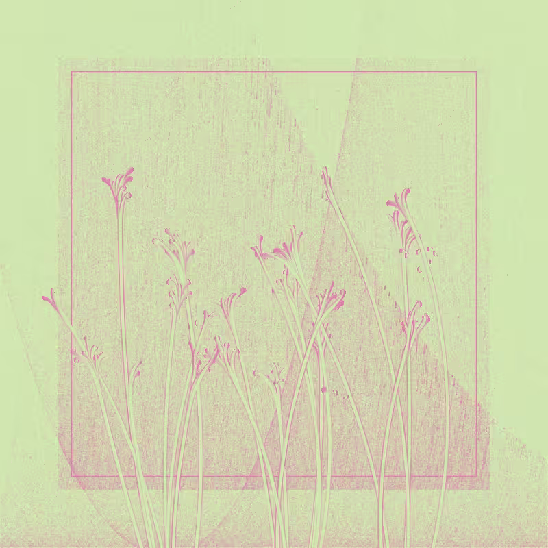 string_pllu #14