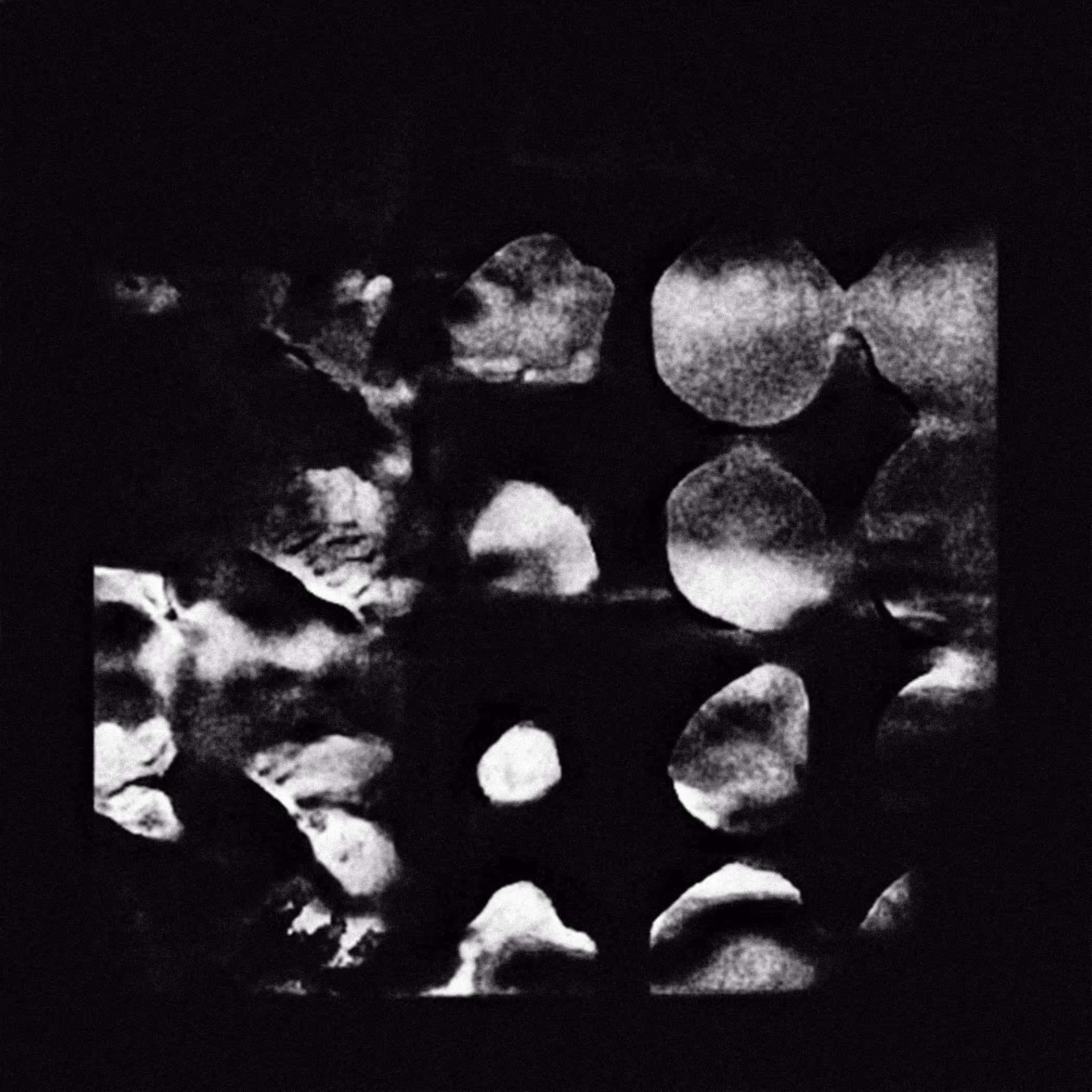 Yaak - AI Visual Experiments - #00003
