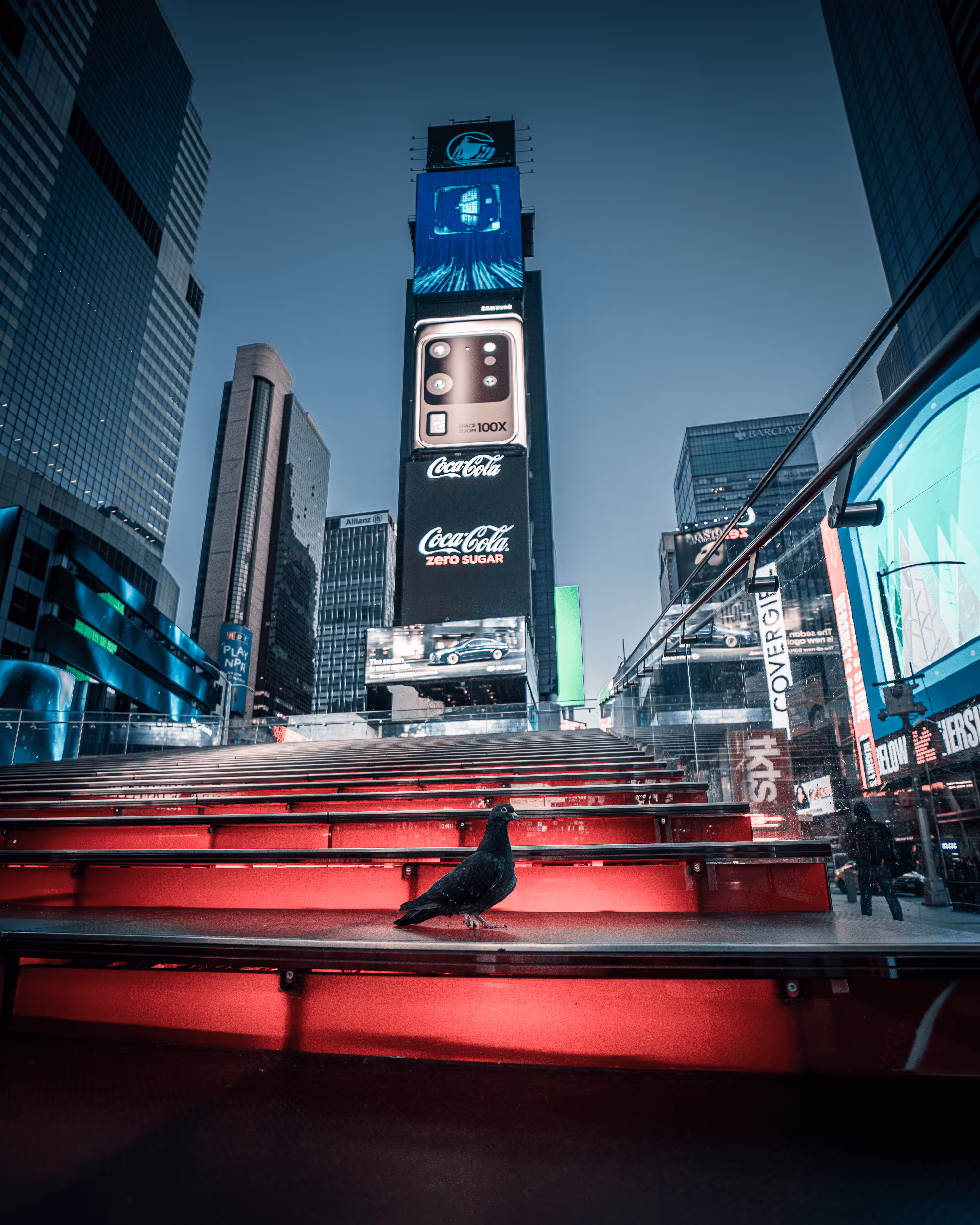 The pidgeon at Times Square