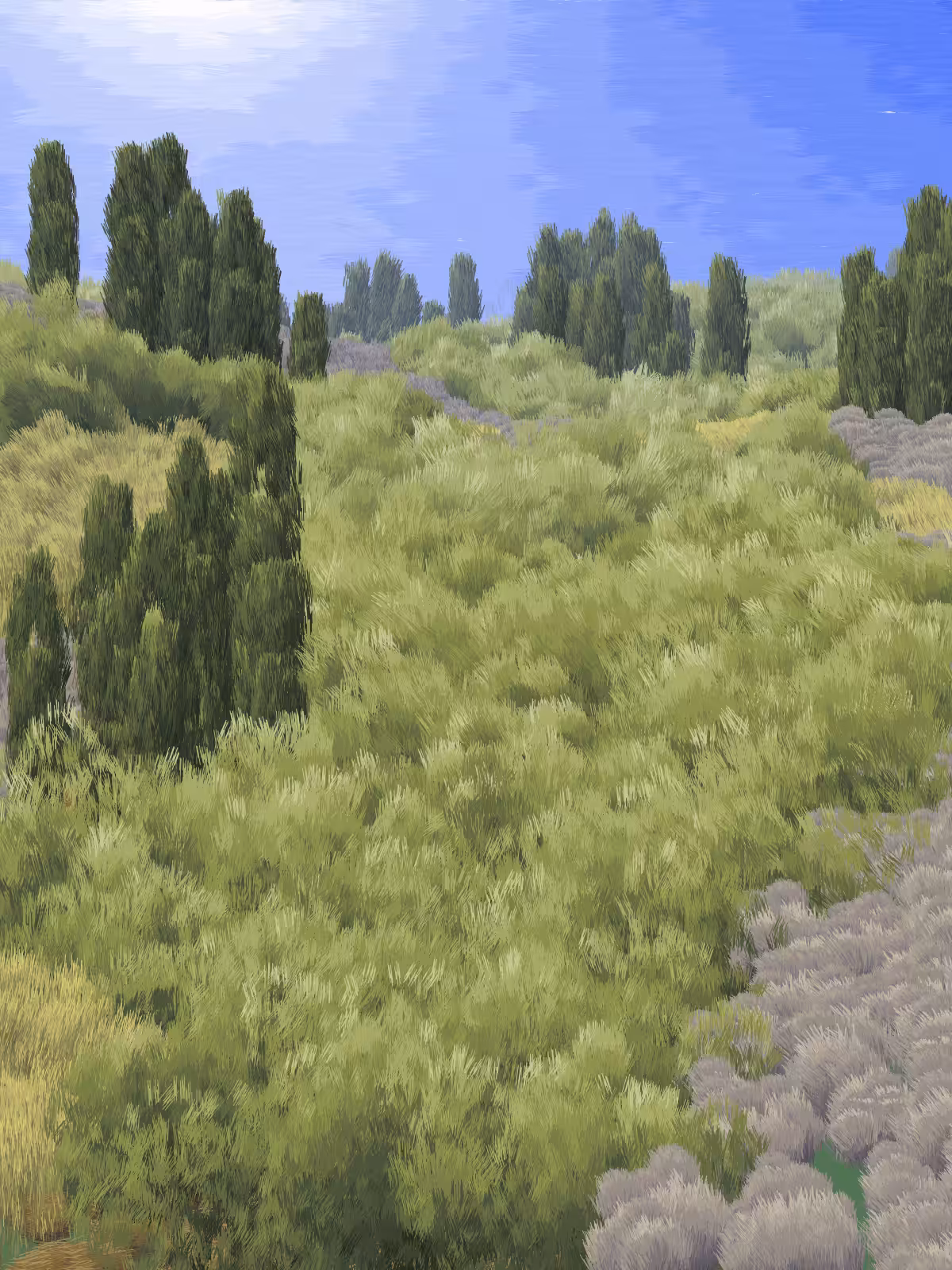 Provence #244