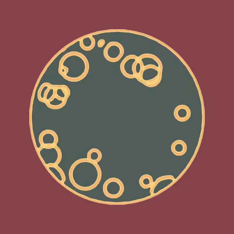Cheap Petri Dish #15