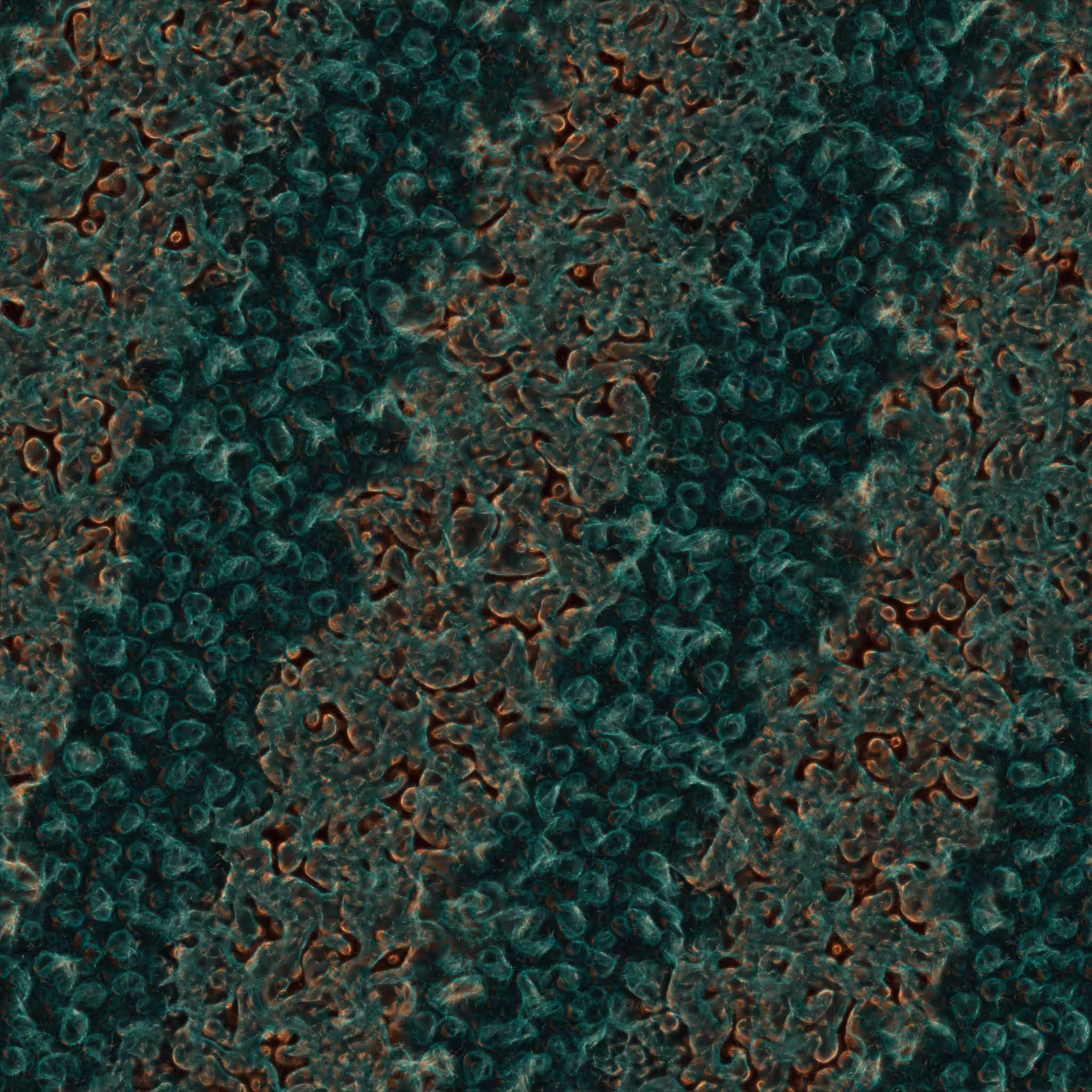 saprophyte #242