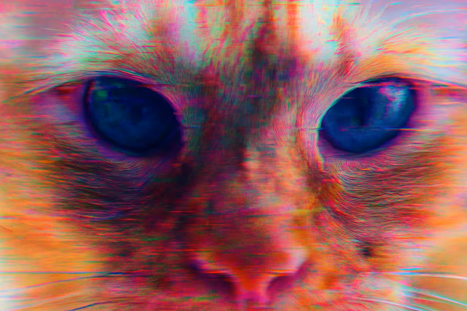 π Packet Loss in the Mind of God
