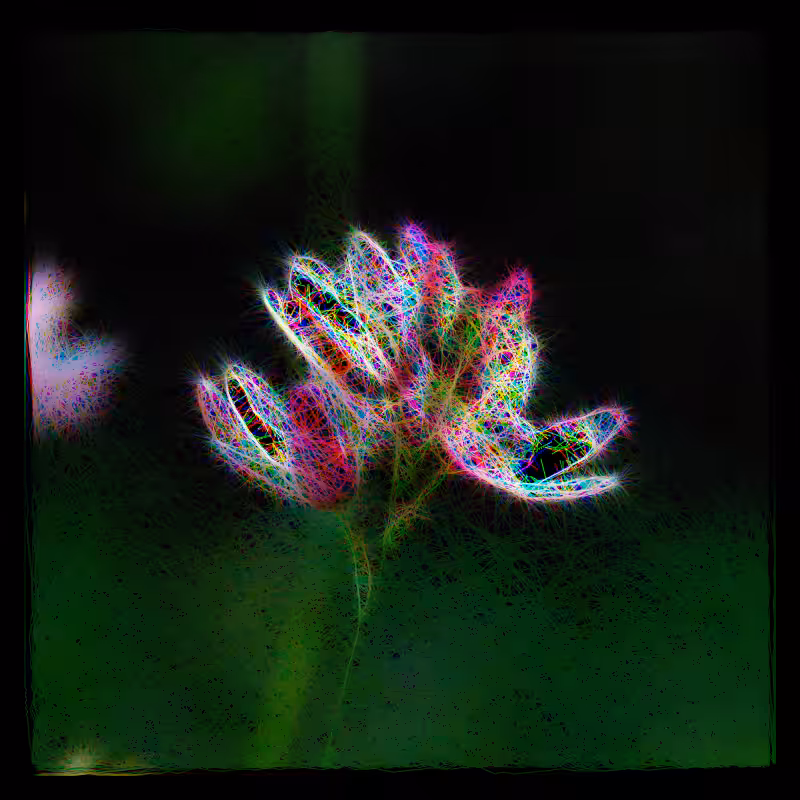 Petit Printemps
