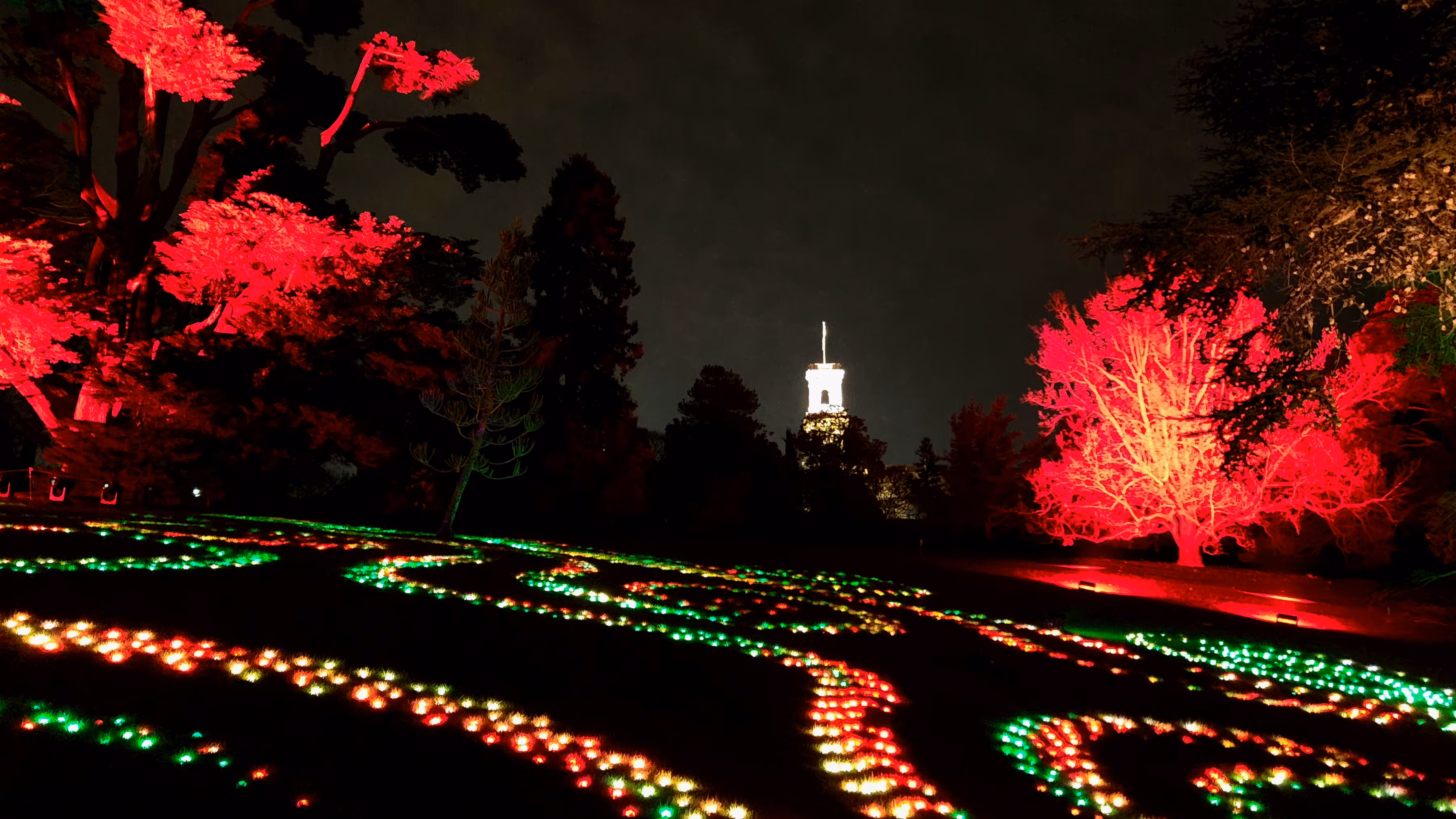 Lightscape  - flower bed #1
