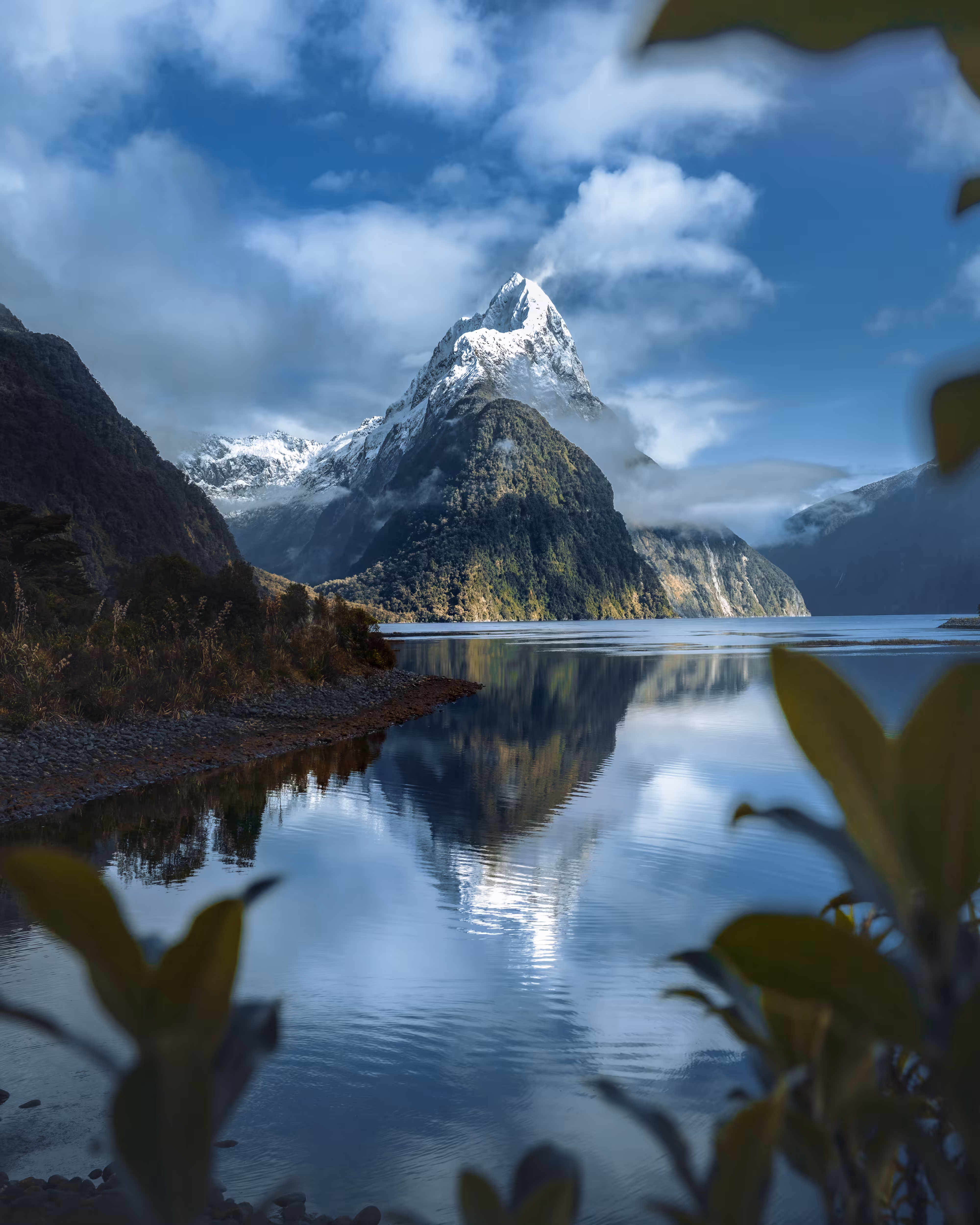 REFLECTION