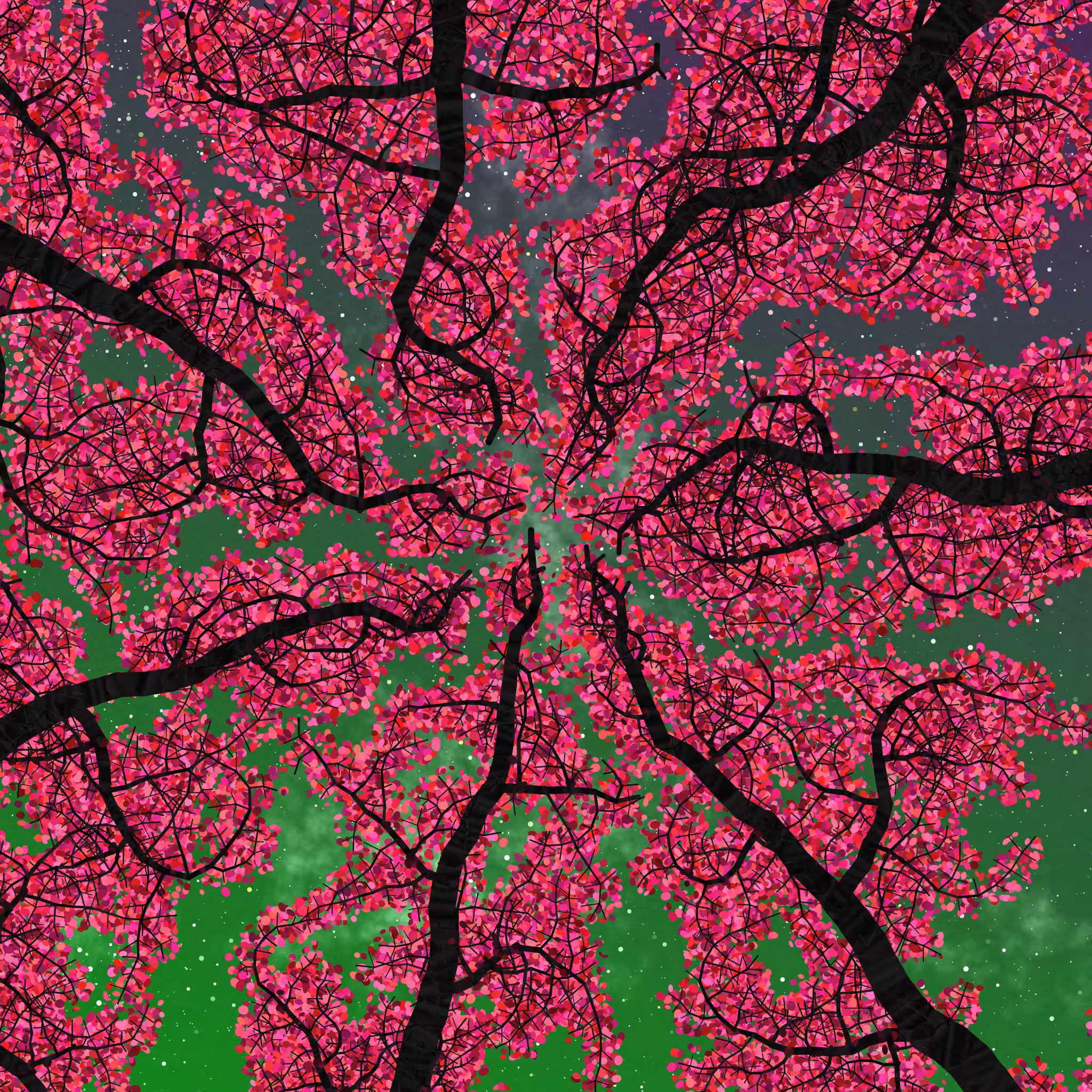 Tree Skyness #108